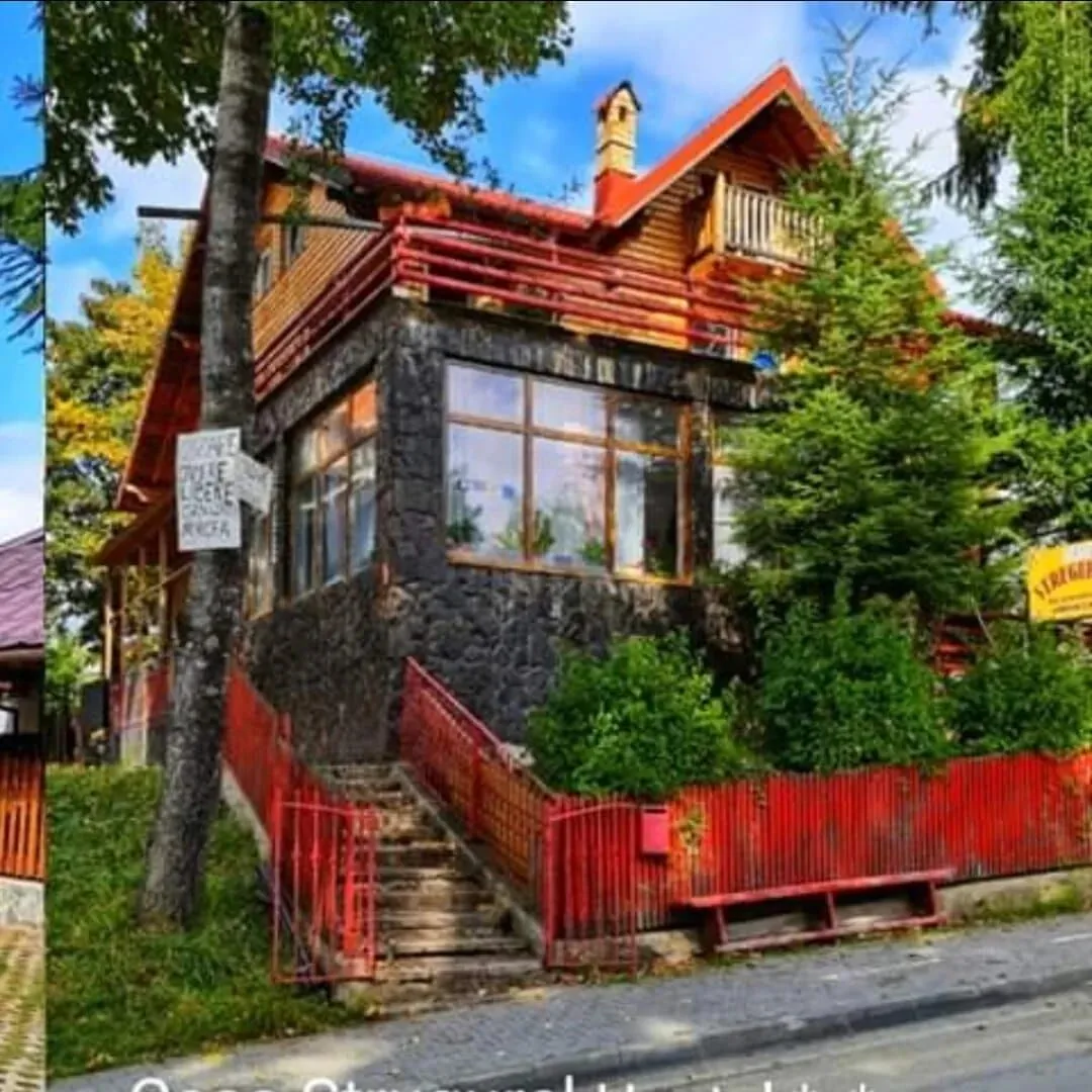 Vila Strugurelu Predeal – Predeal, România