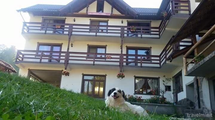 Pensiunea Casa Georgiana și Gabriel Poiana Mărului – Poiana Mărului, România