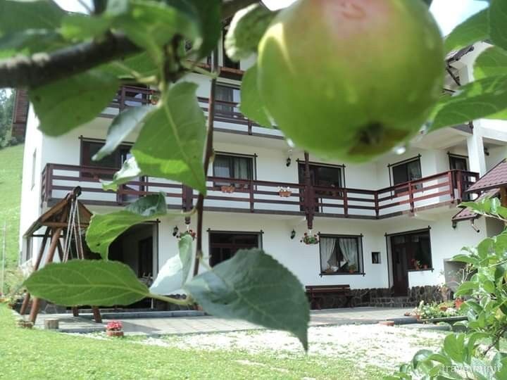 Pensiunea Casa Georgiana și Gabriel Poiana Mărului – Poiana Mărului, România