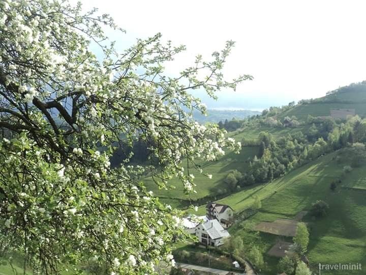 Pensiunea Casa Georgiana și Gabriel Poiana Mărului – Poiana Mărului, România