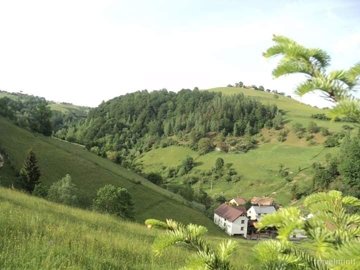 Pensiunea Casa Georgiana și Gabriel Poiana Mărului – Poiana Mărului, România