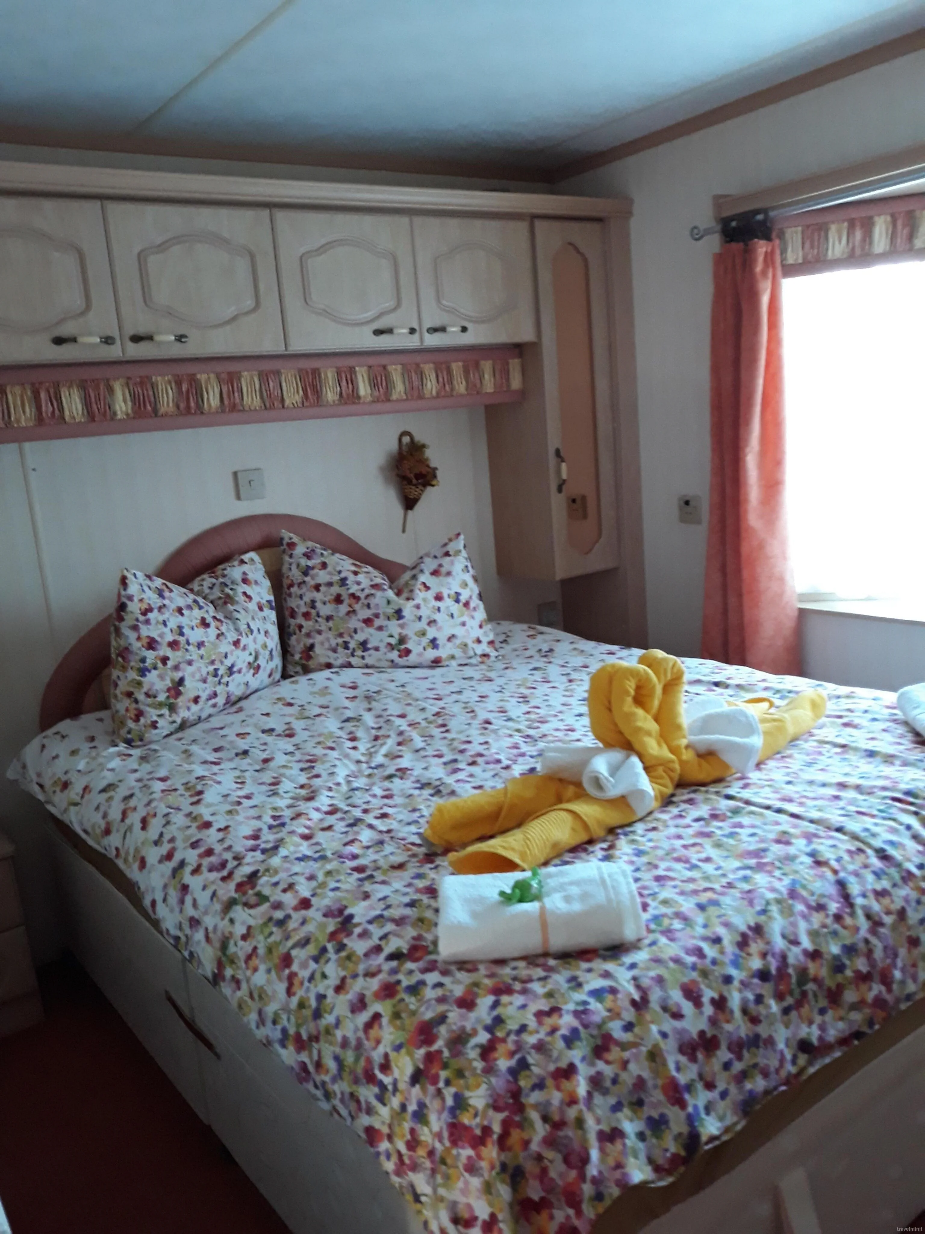 Casa de oaspeți Pinul Argintiu Borzont - foto 2