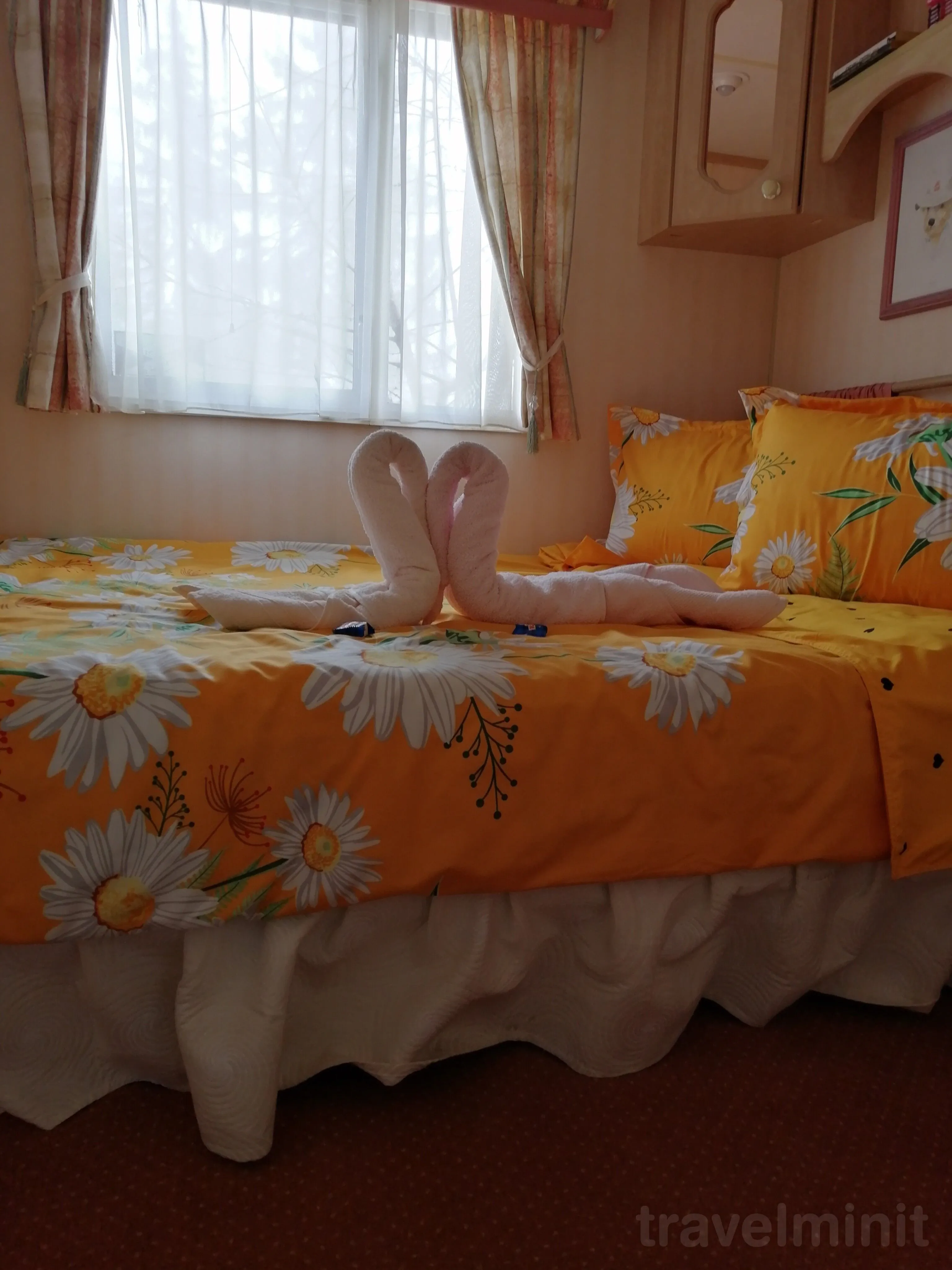 Casa de oaspeți Pinul Argintiu Borzont - foto 5