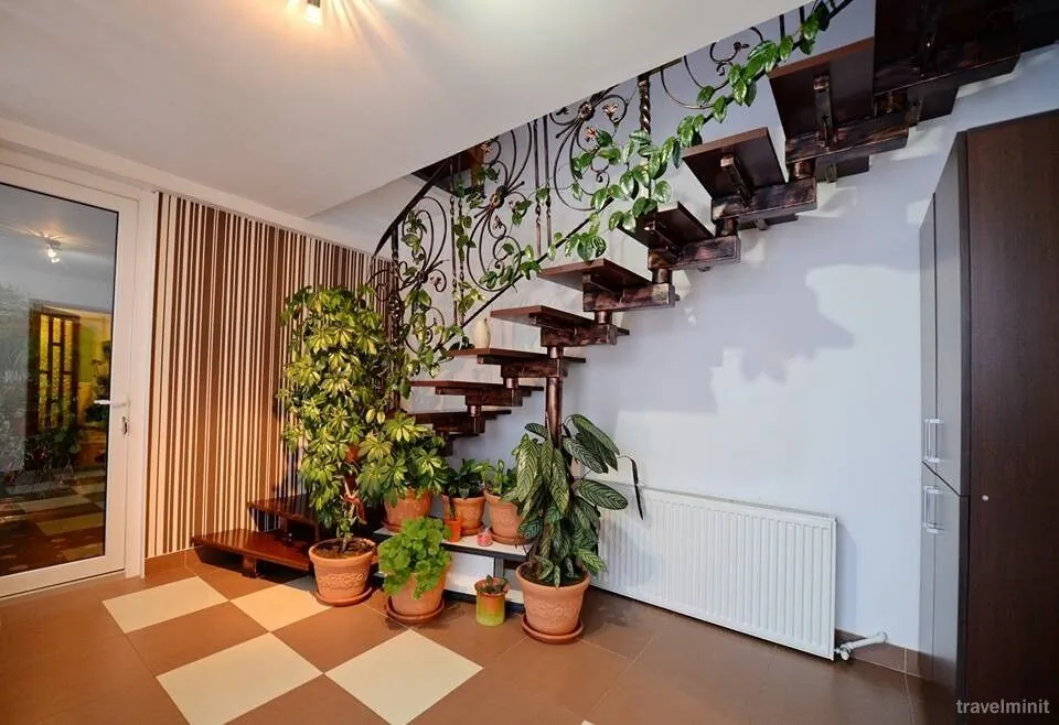 Casa Maia Șaru Dornei – Şaru Dornei, România