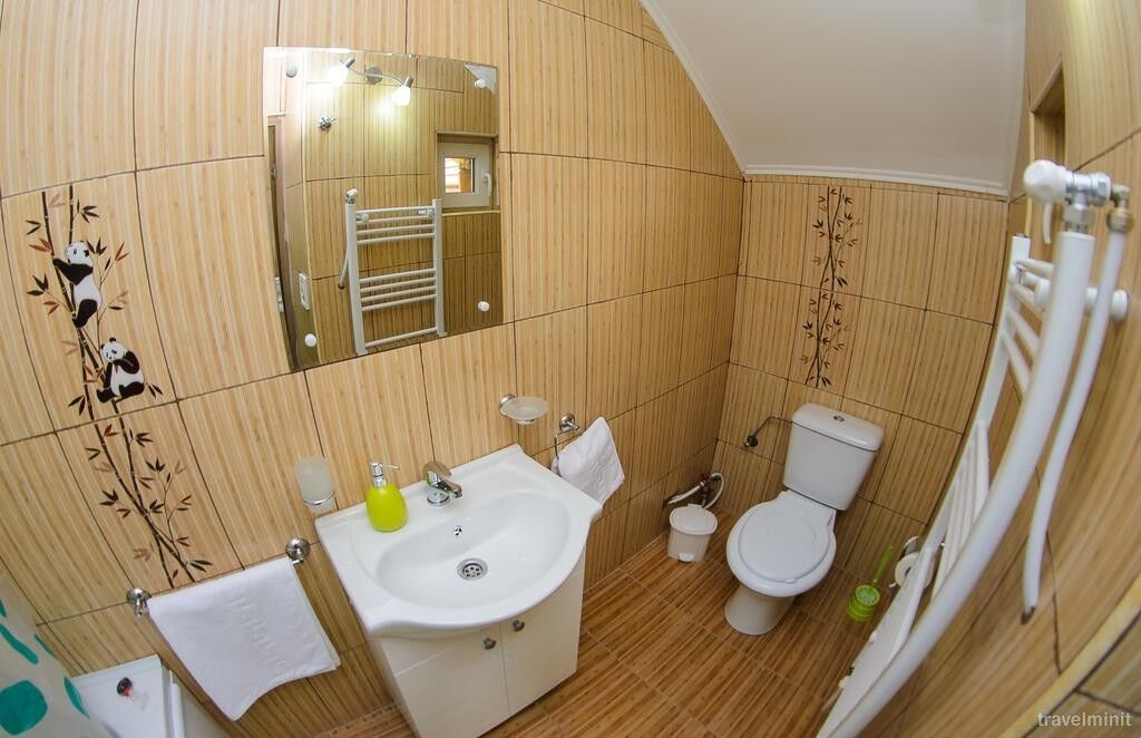 Vila Liana Oradea – Oradea, România