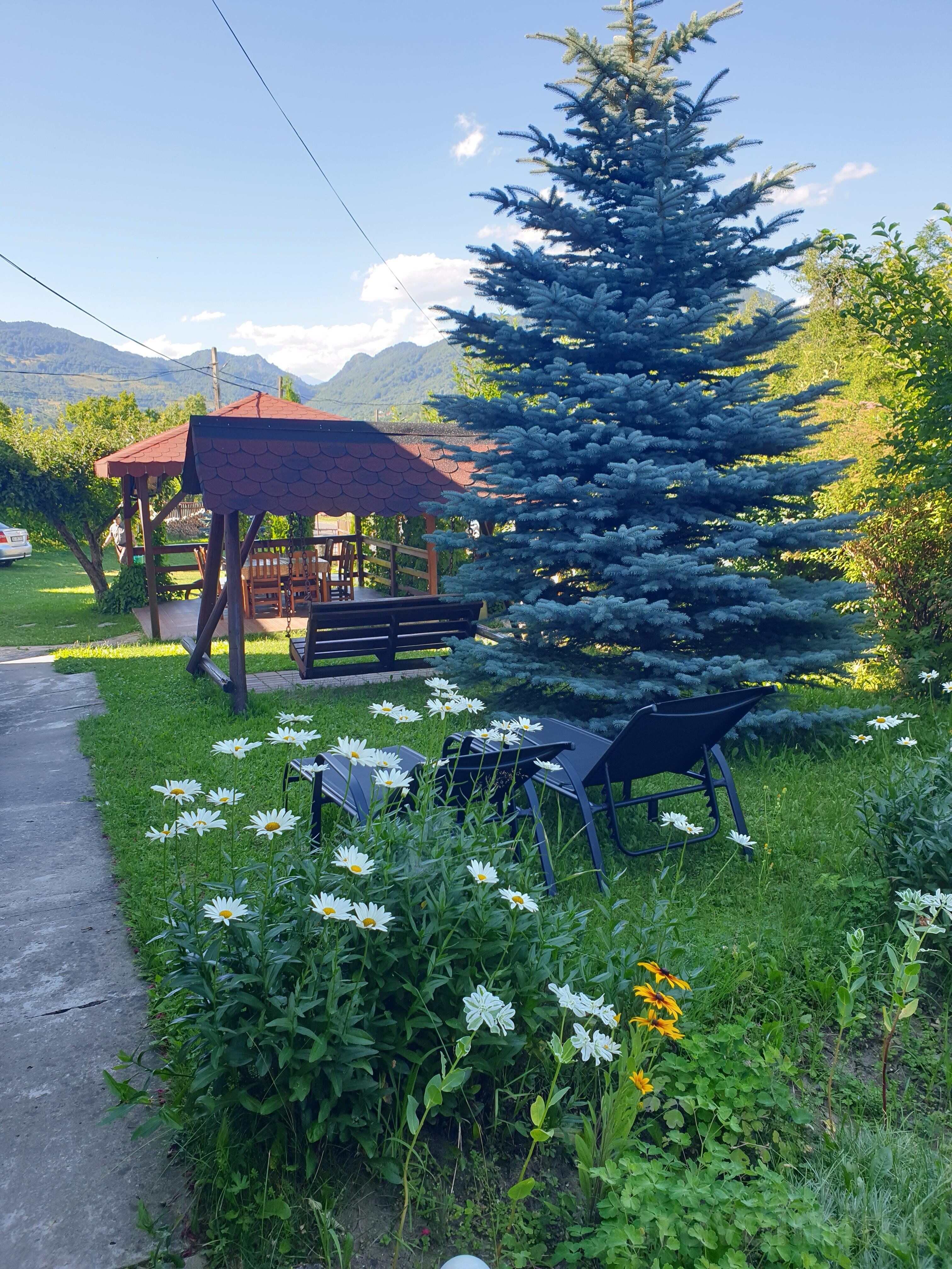 Pensiunea Casa Mădălina Corbeni – Corbeni, România