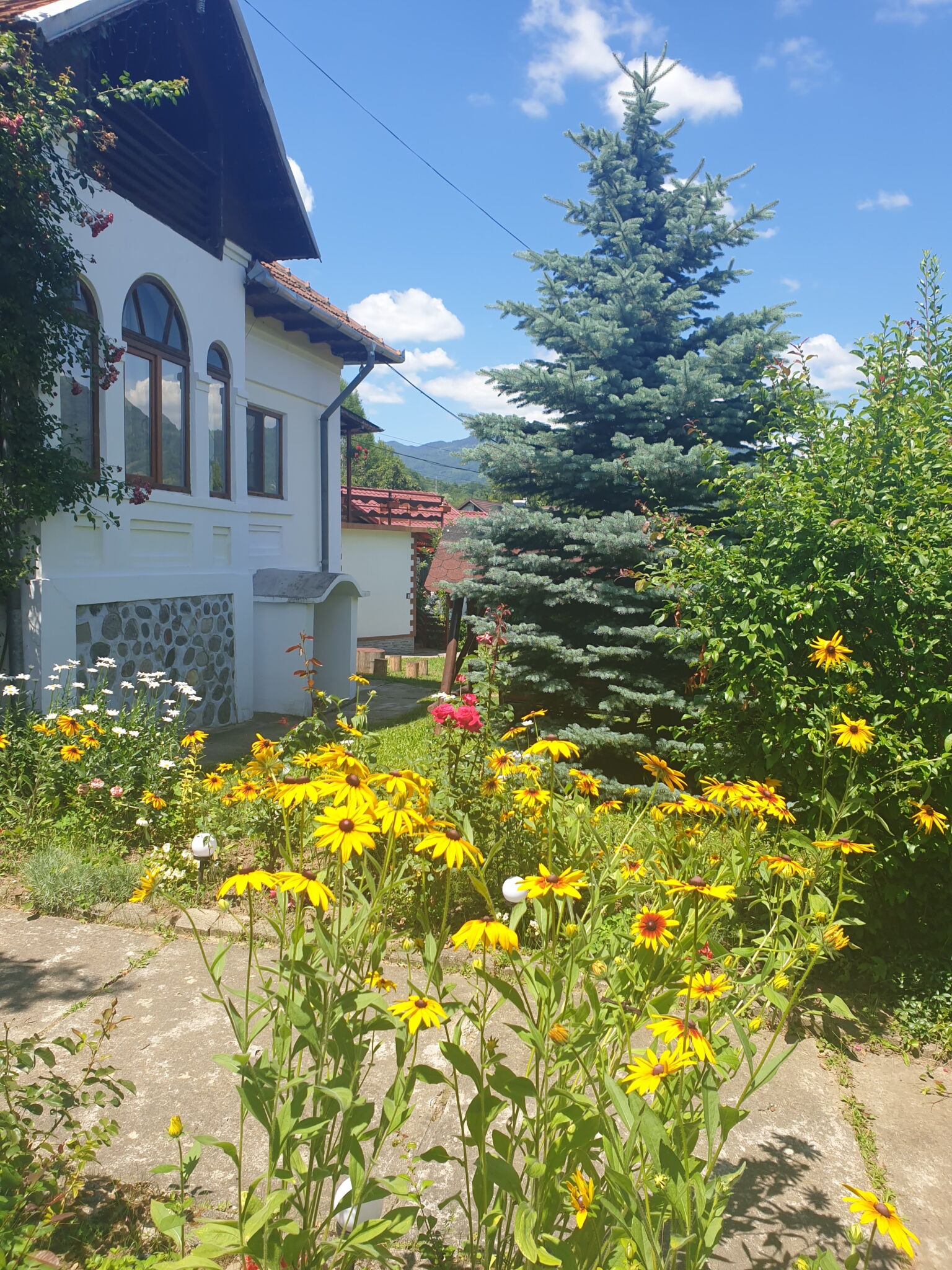 Pensiunea Casa Mădălina Corbeni – Corbeni, România