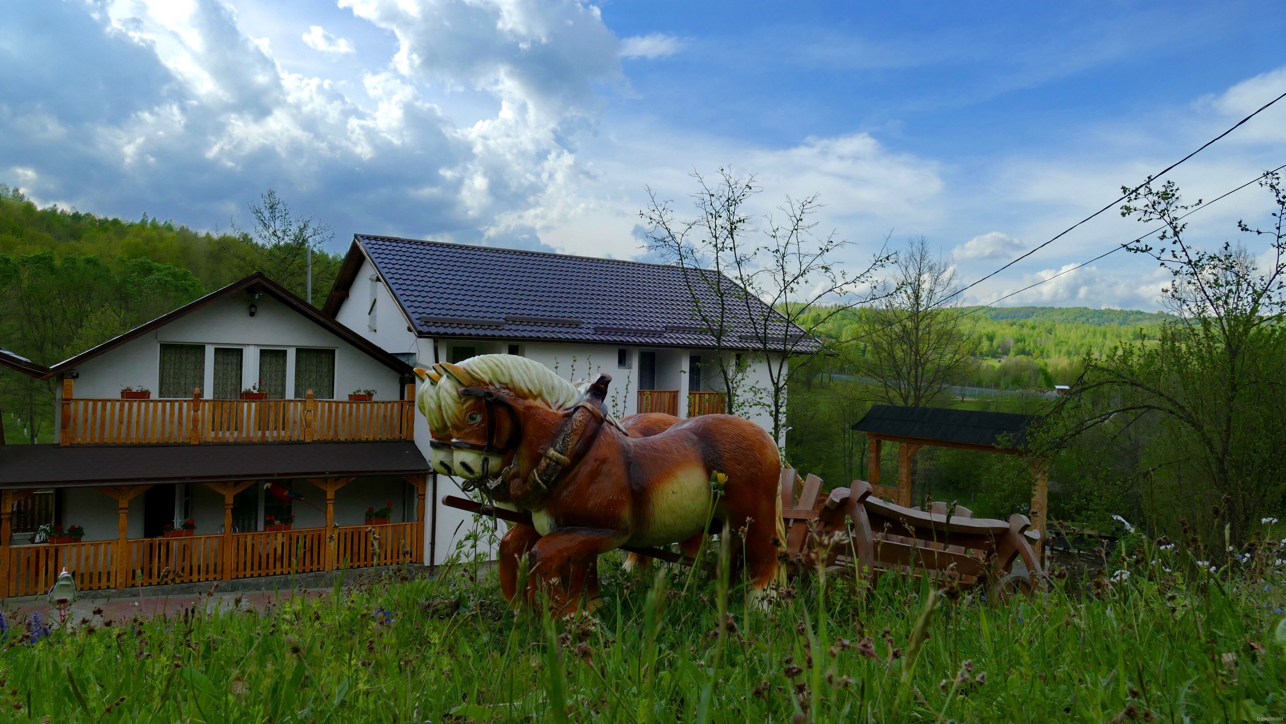 Casa Papitu Vadu Izei – Sighetu Marmației, România