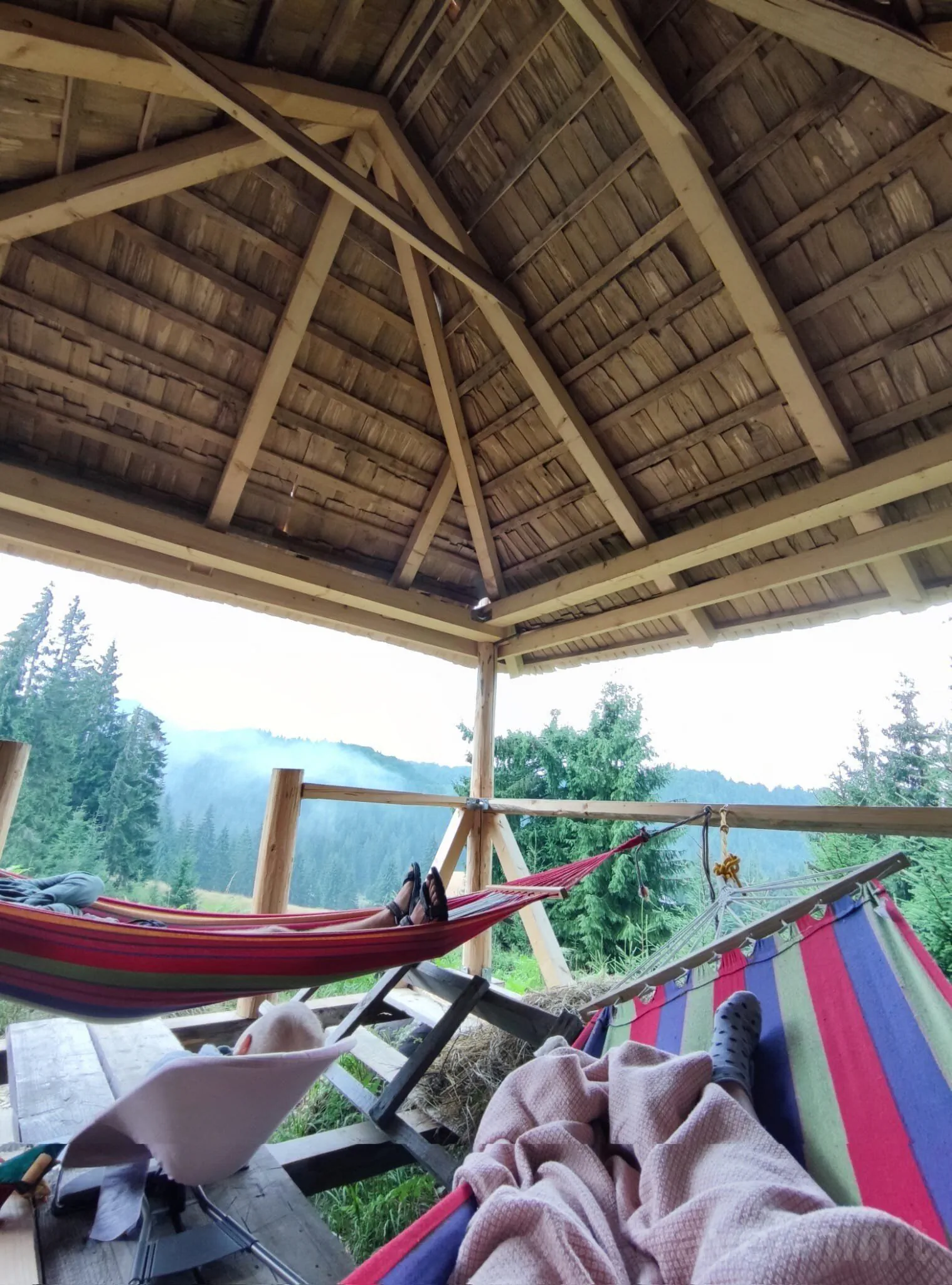 Cabana Paulownia Budești – Budești, România