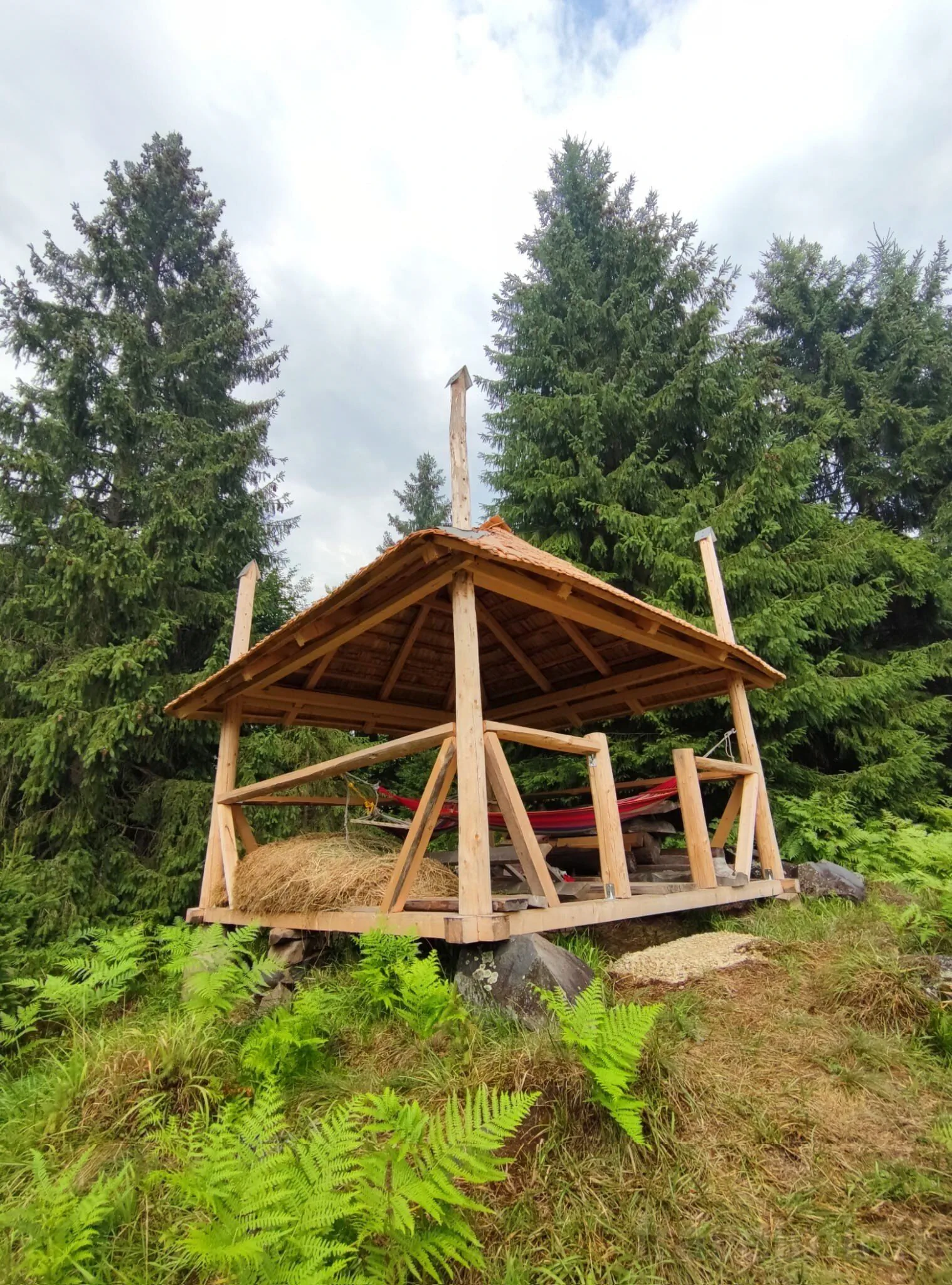 Cabana Paulownia Budești – Budești, România