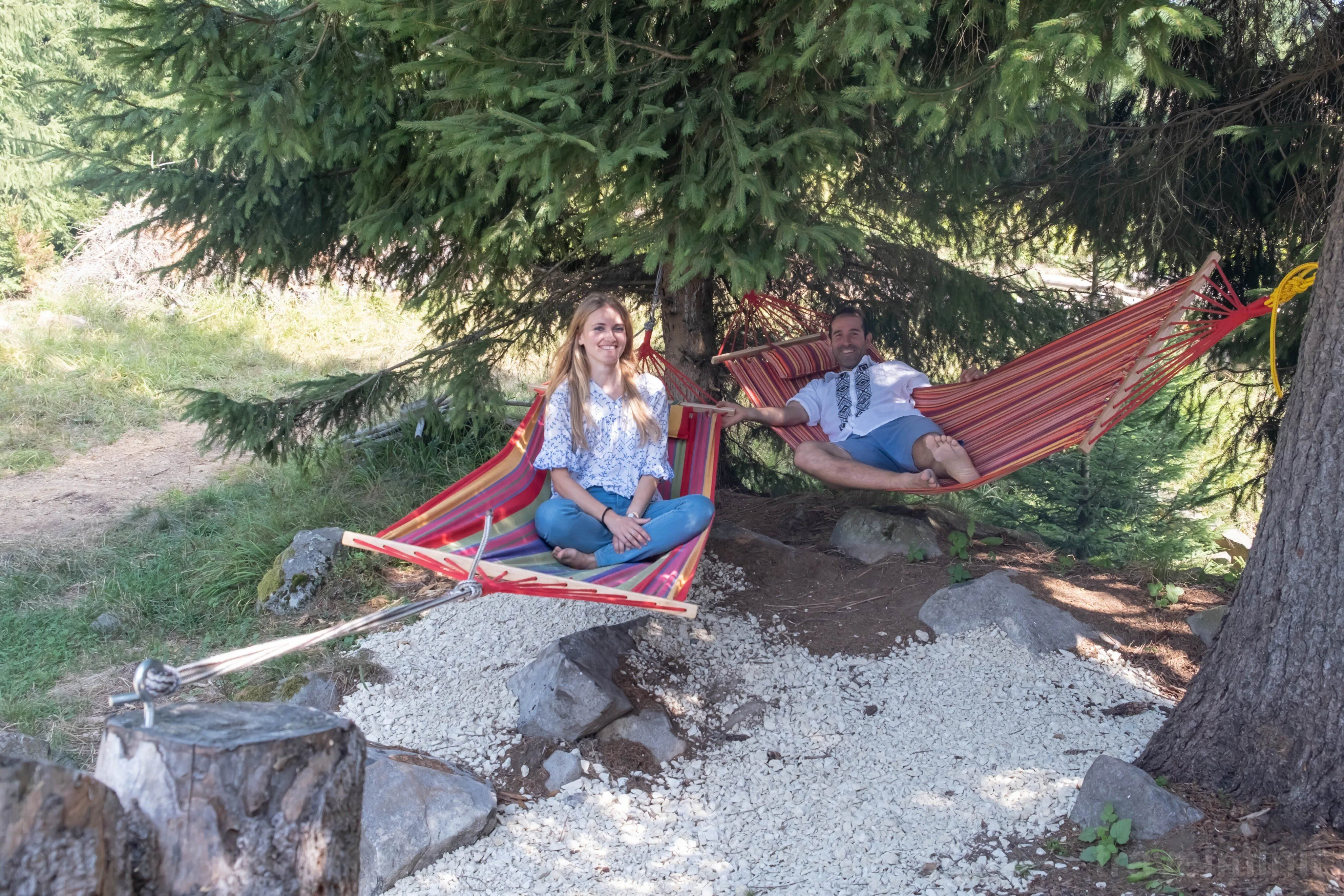 Cabana Paulownia Budești – Budești, România