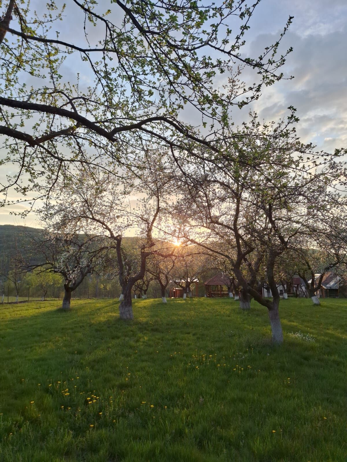 Pensiunea Agroturistică Ica Valea Drăganului – Valea Drăganului, România