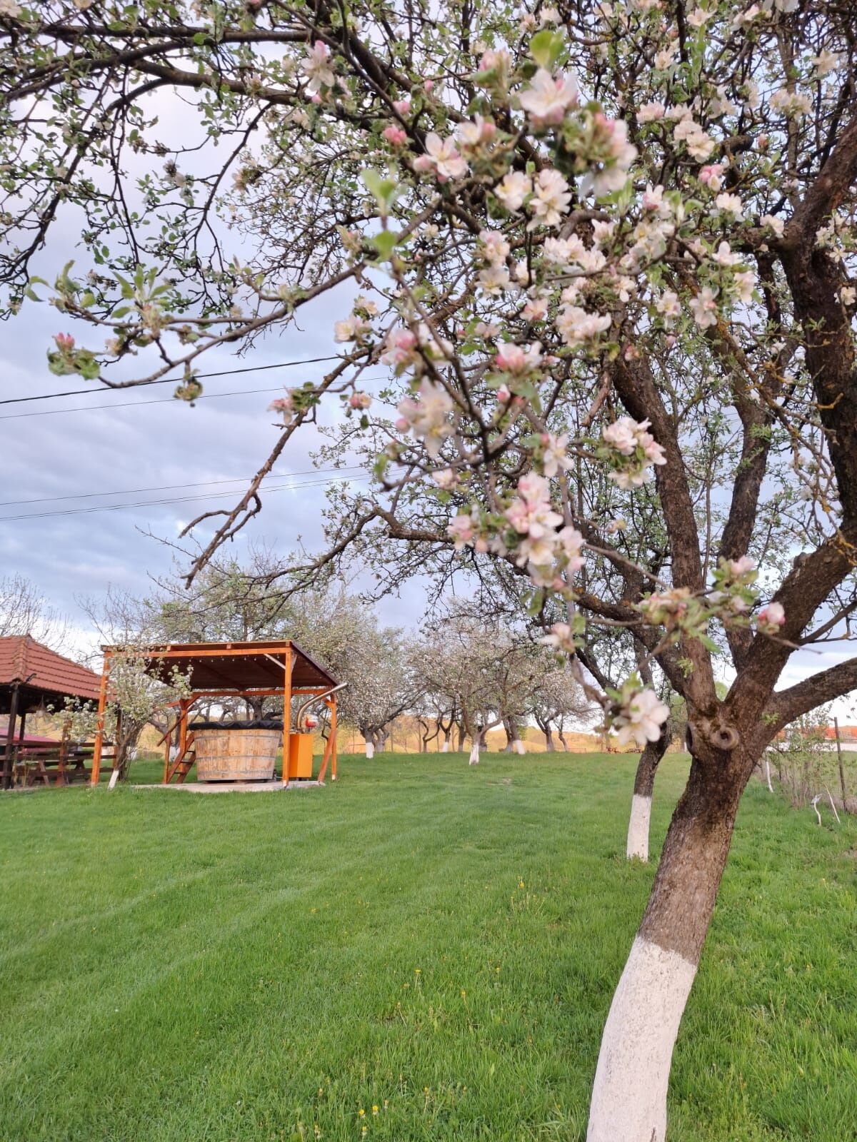 Pensiunea Agroturistică Ica Valea Drăganului – Valea Drăganului, România