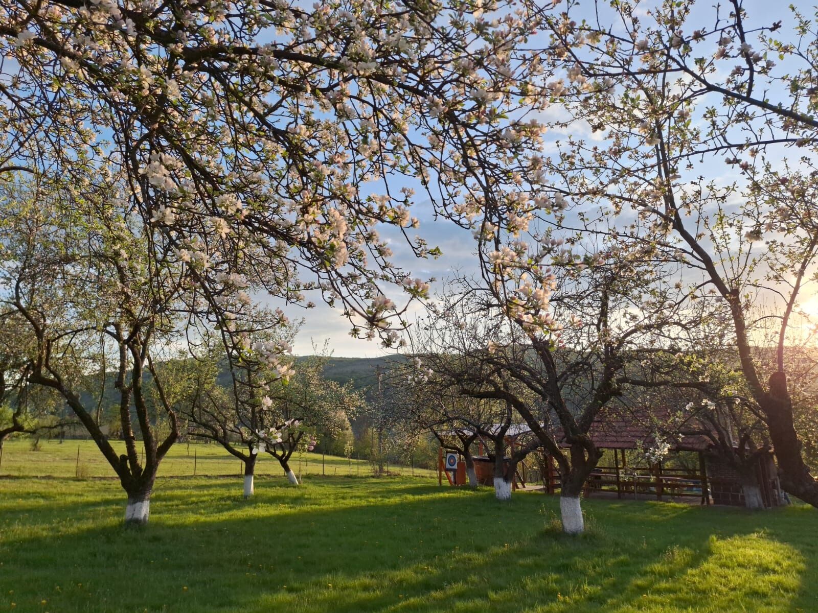 Pensiunea Agroturistică Ica Valea Drăganului – Valea Drăganului, România