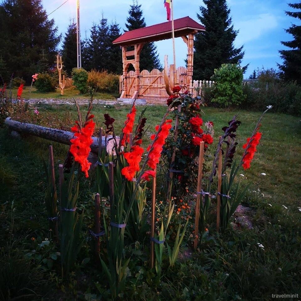 Cabanele FloriCrin Mărișel – Mărişel, România