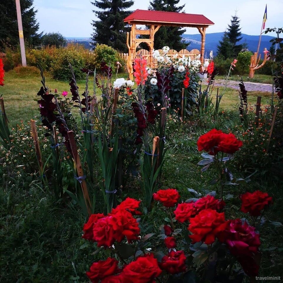 Cabanele FloriCrin Mărișel – Mărişel, România