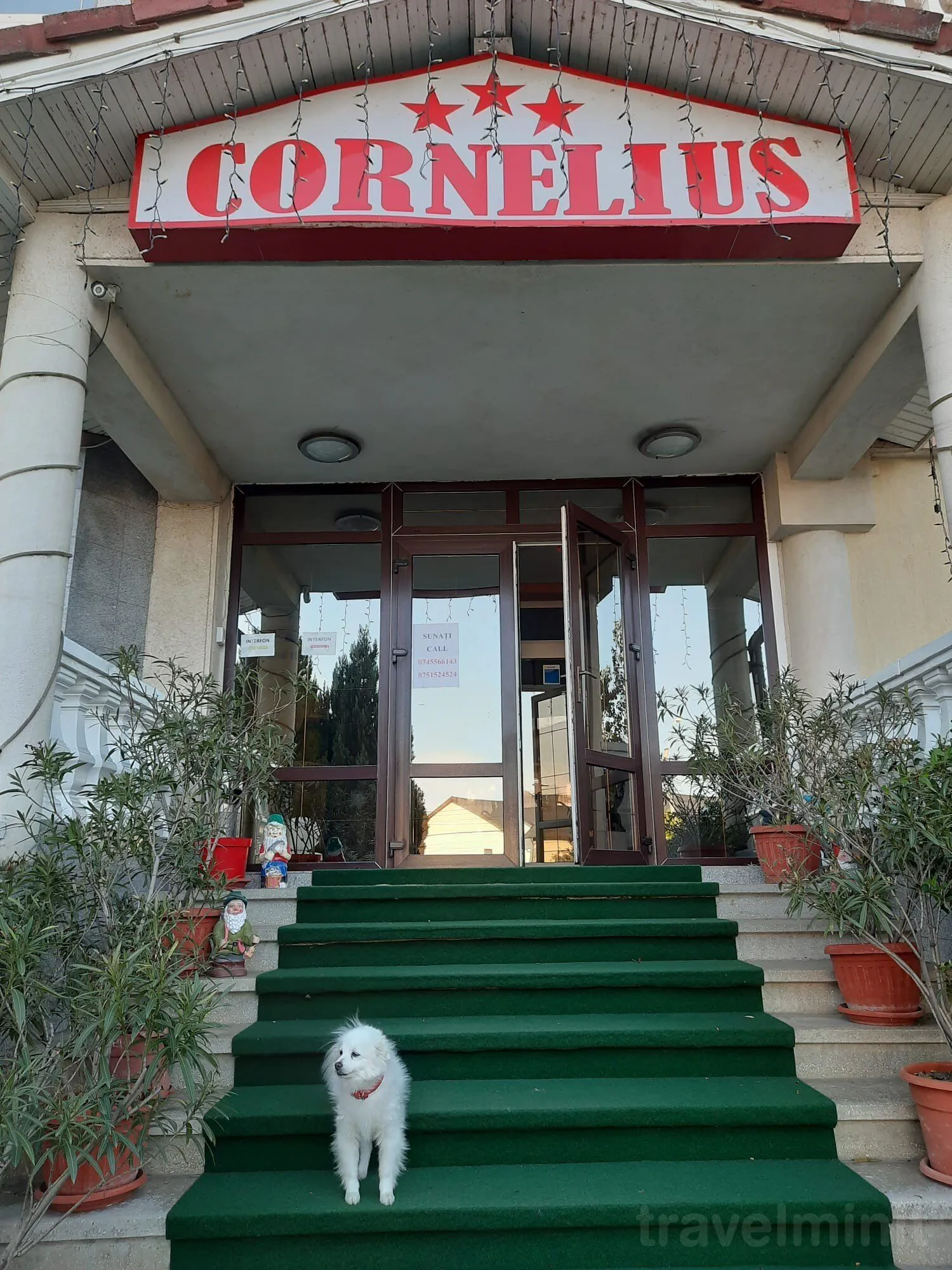 Pensiunea Cornelius Piatra-Neamț – Piatra Neamț, România