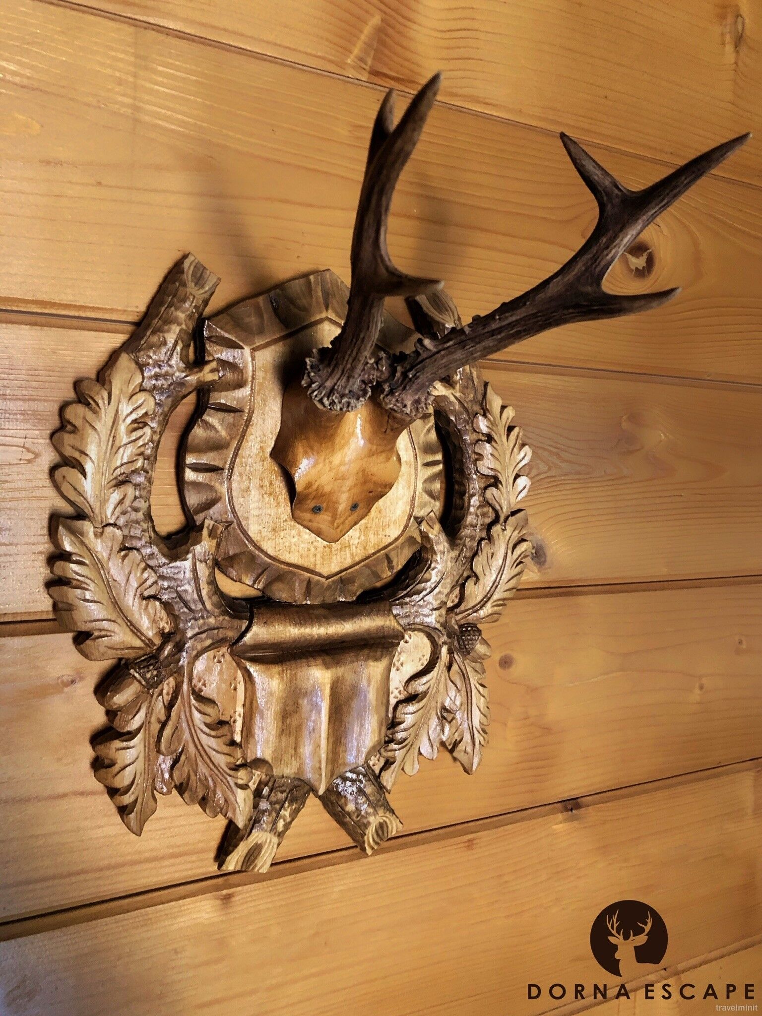 Cabana Escape Vatra Dornei – Vatra Dornei, România