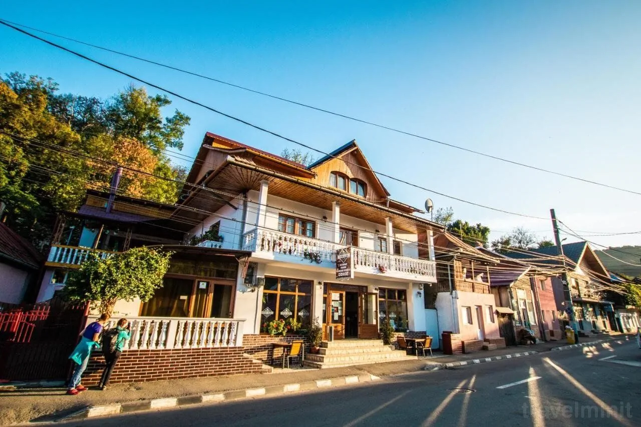 Restaurant Pensiune Casa Albă Baia de Aramă – Baia de Aramă, România