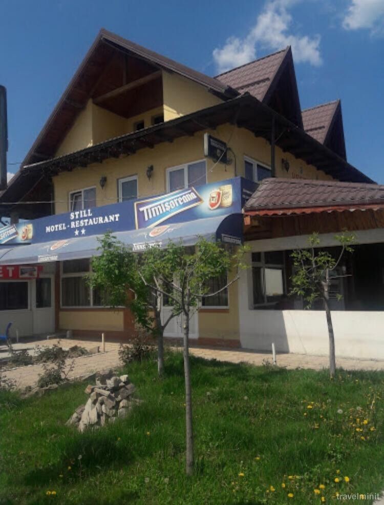 Motel Still Lintești - foto 10