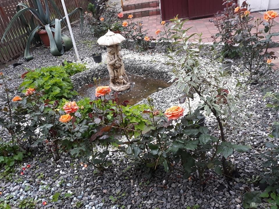 Pensiunea Kincs Valea lui Mihai – Valea lui Mihai, România
