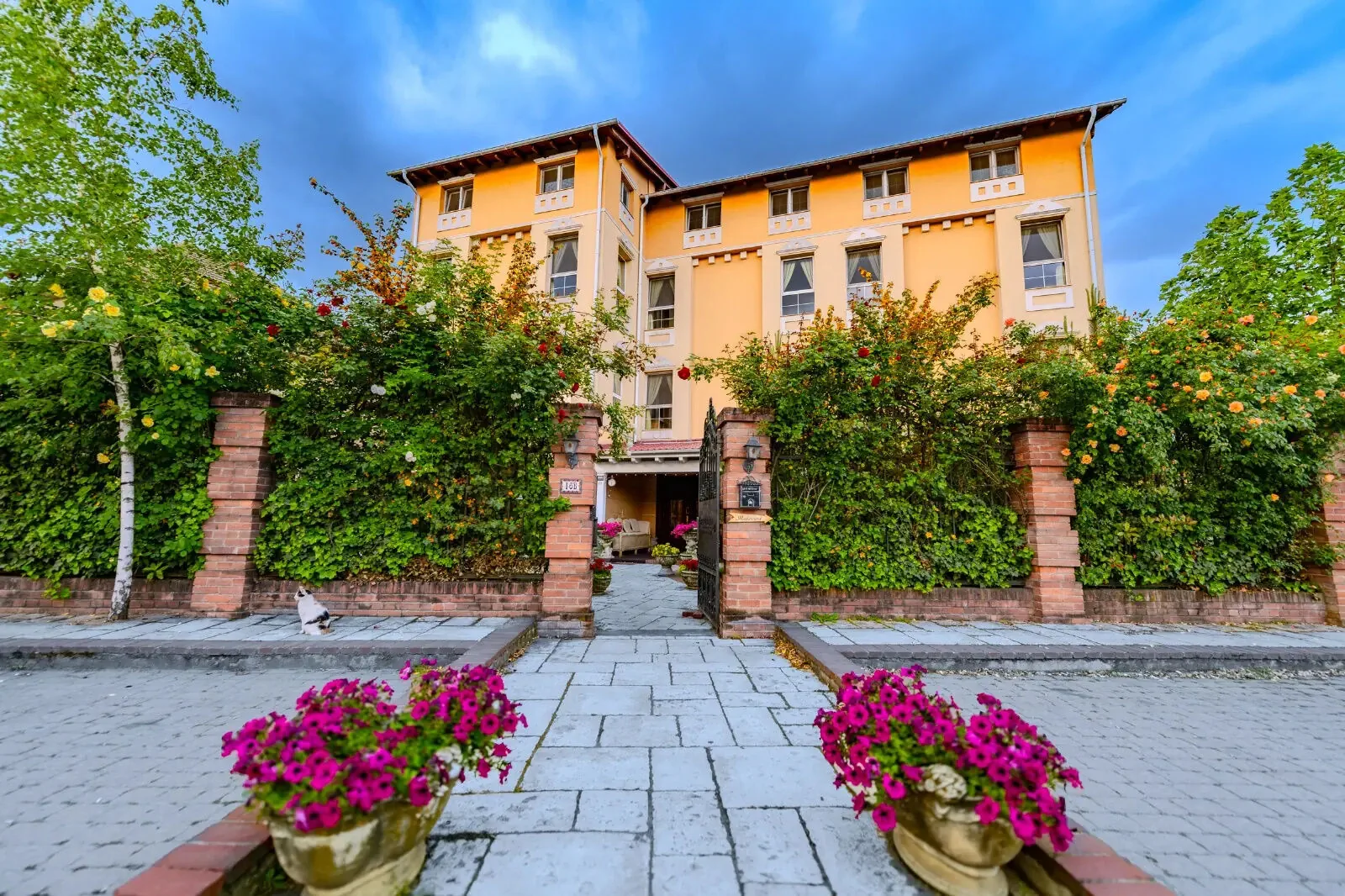 Hotel Casa de la Rosa Timișoara – Timișoara, România