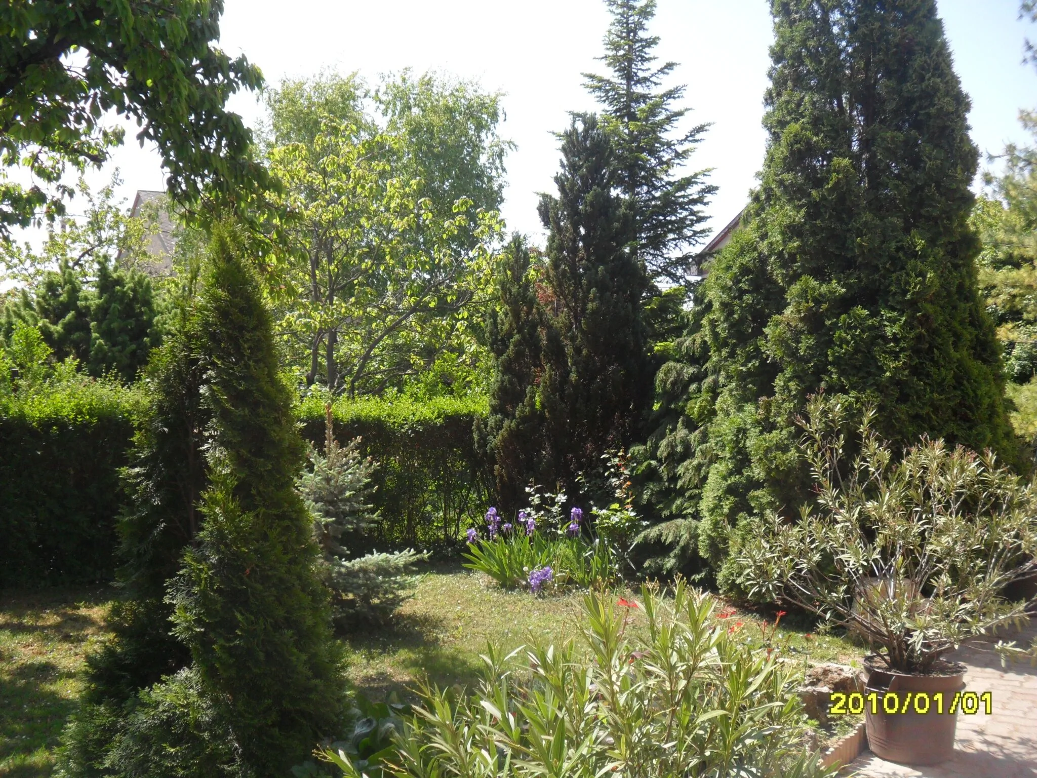 Családi Pihenő Apartman Balatonfüred - foto 5