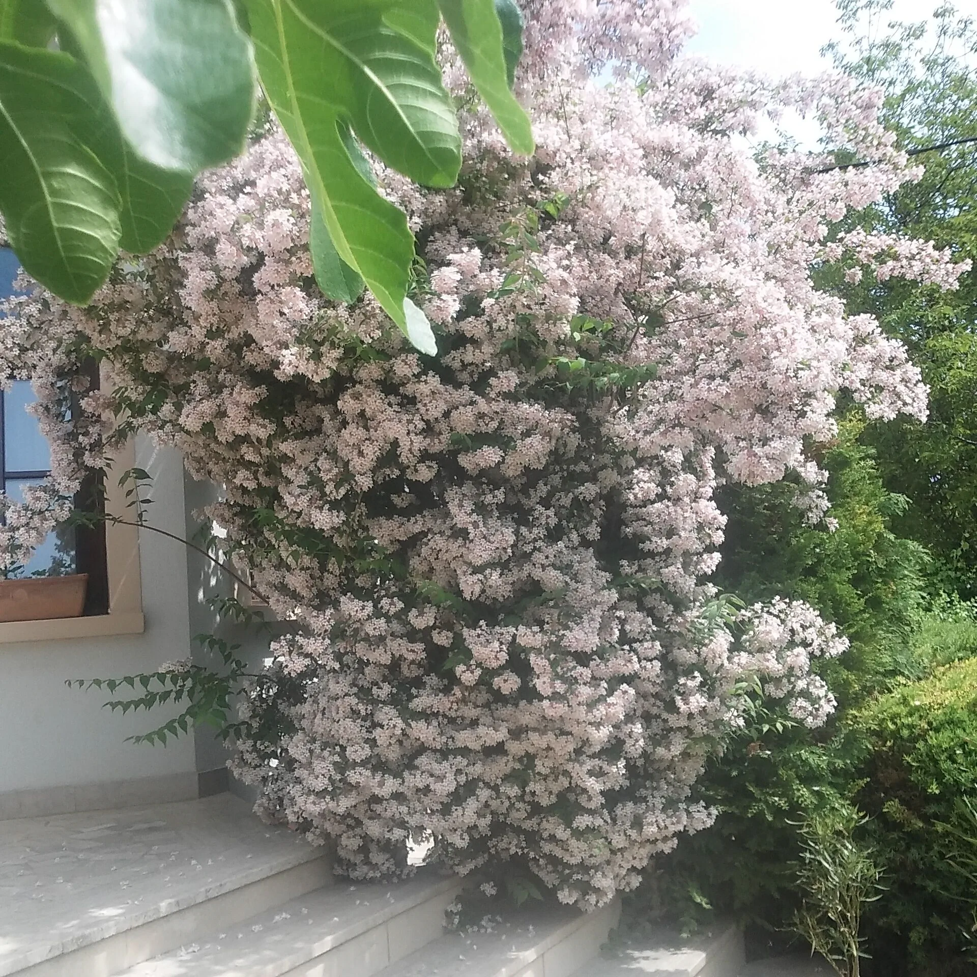 Frutta Villa Cserszegtomaj – Cserszegtomaj, Ungaria