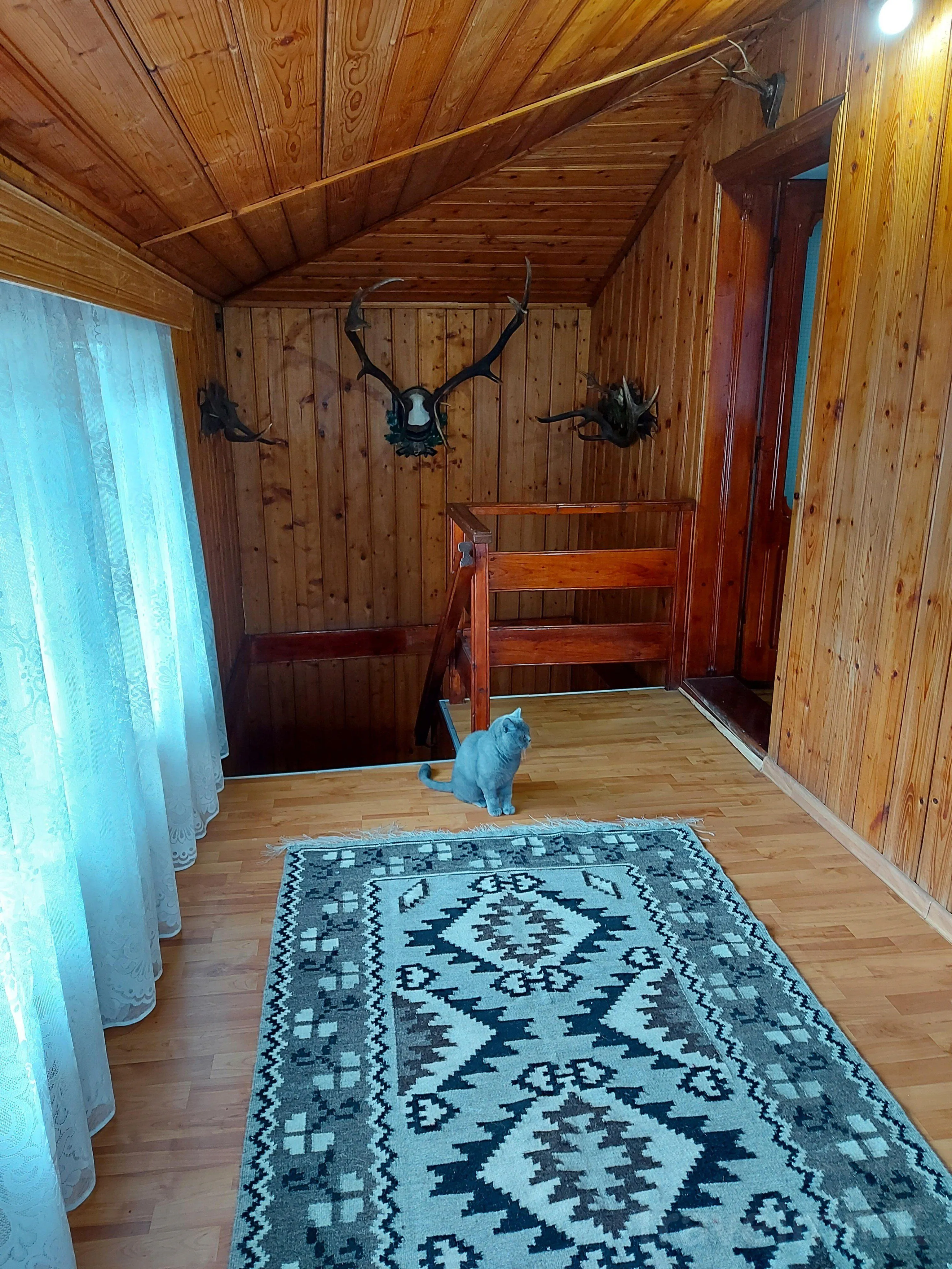Pensiunea Boca Voroneț - foto 6