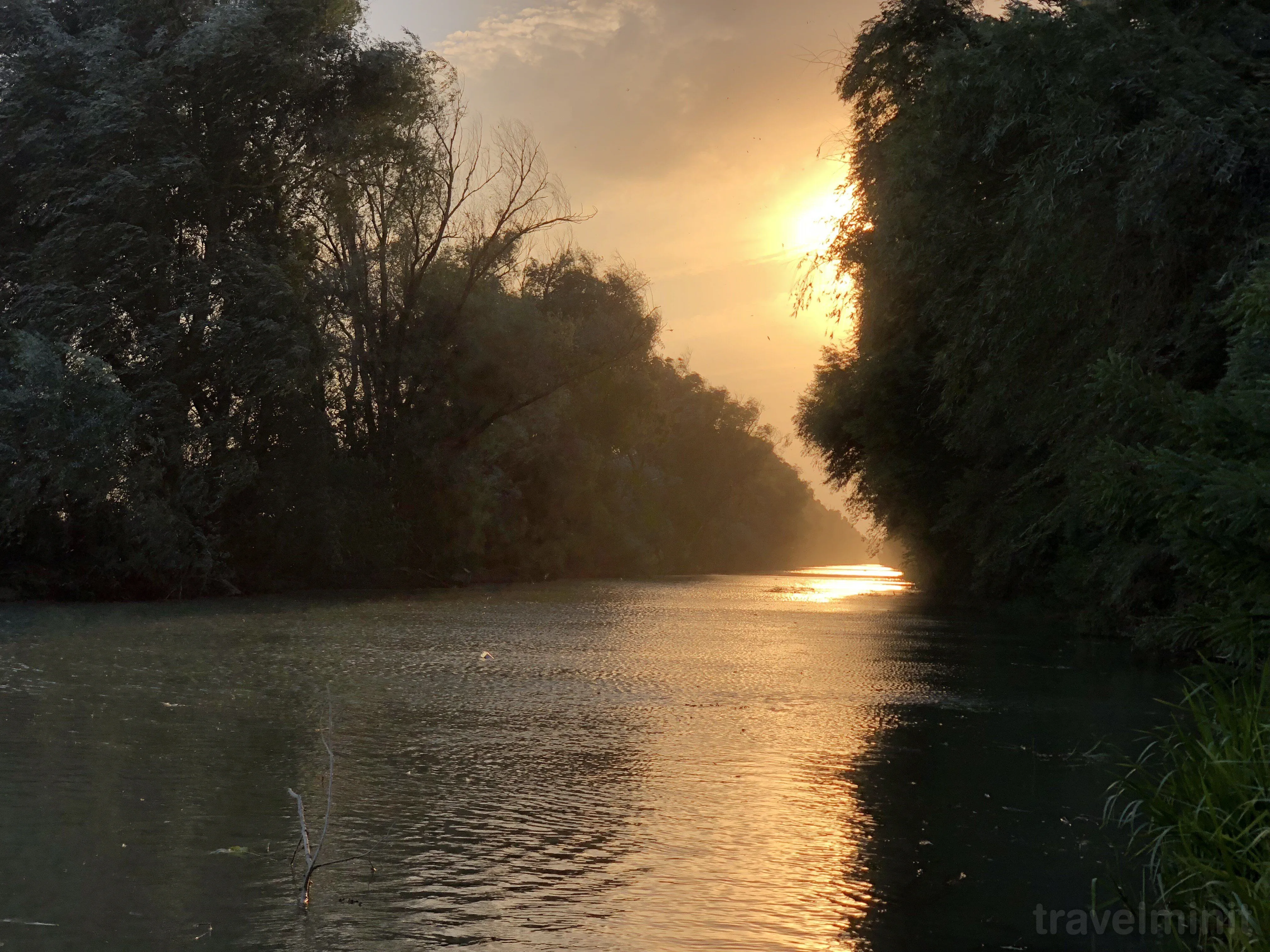 Pensiunea Delta Garden Resort Dunavățu de Jos – Dunavățu de Jos, România