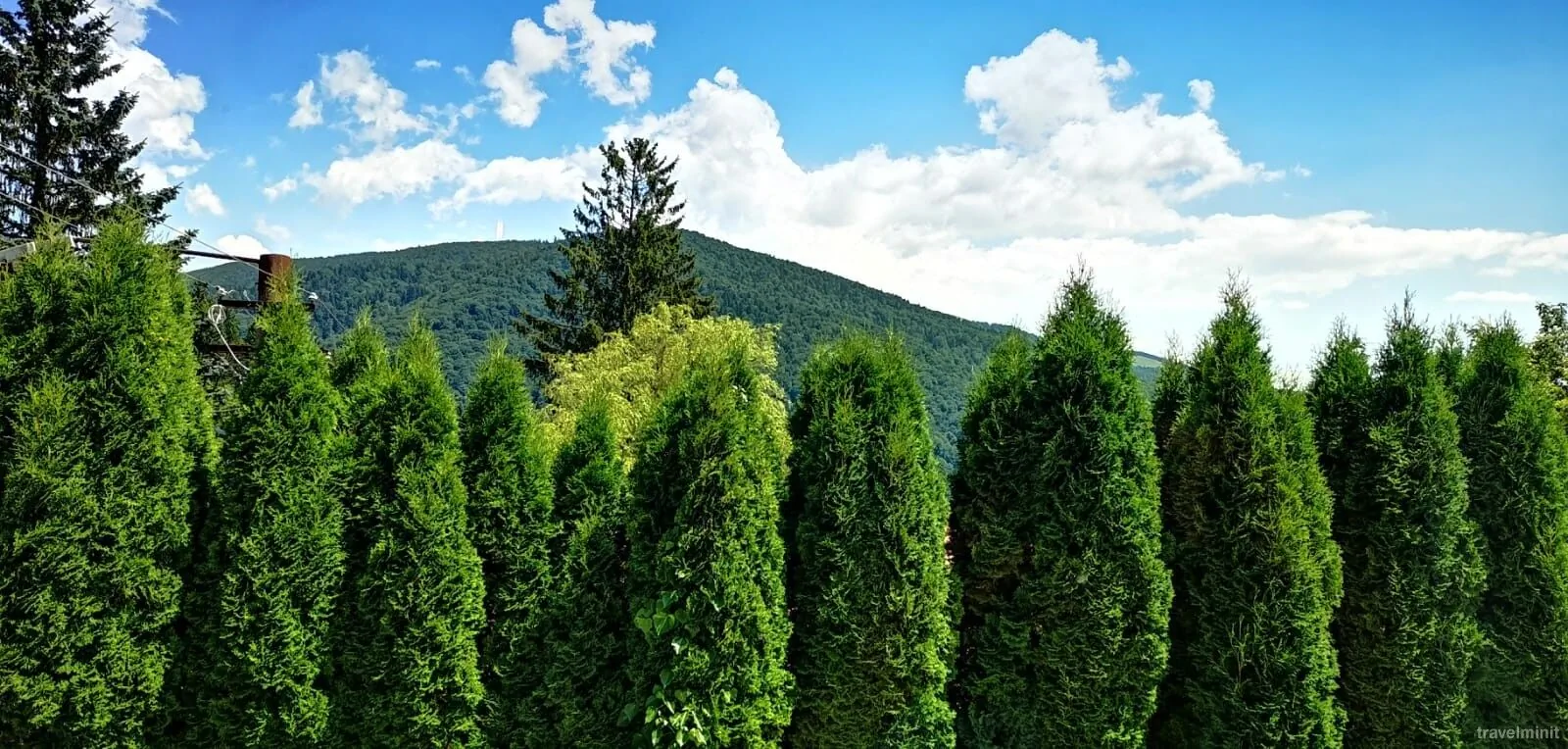 Pensiunea Nicolas Sinaia – Sinaia, România