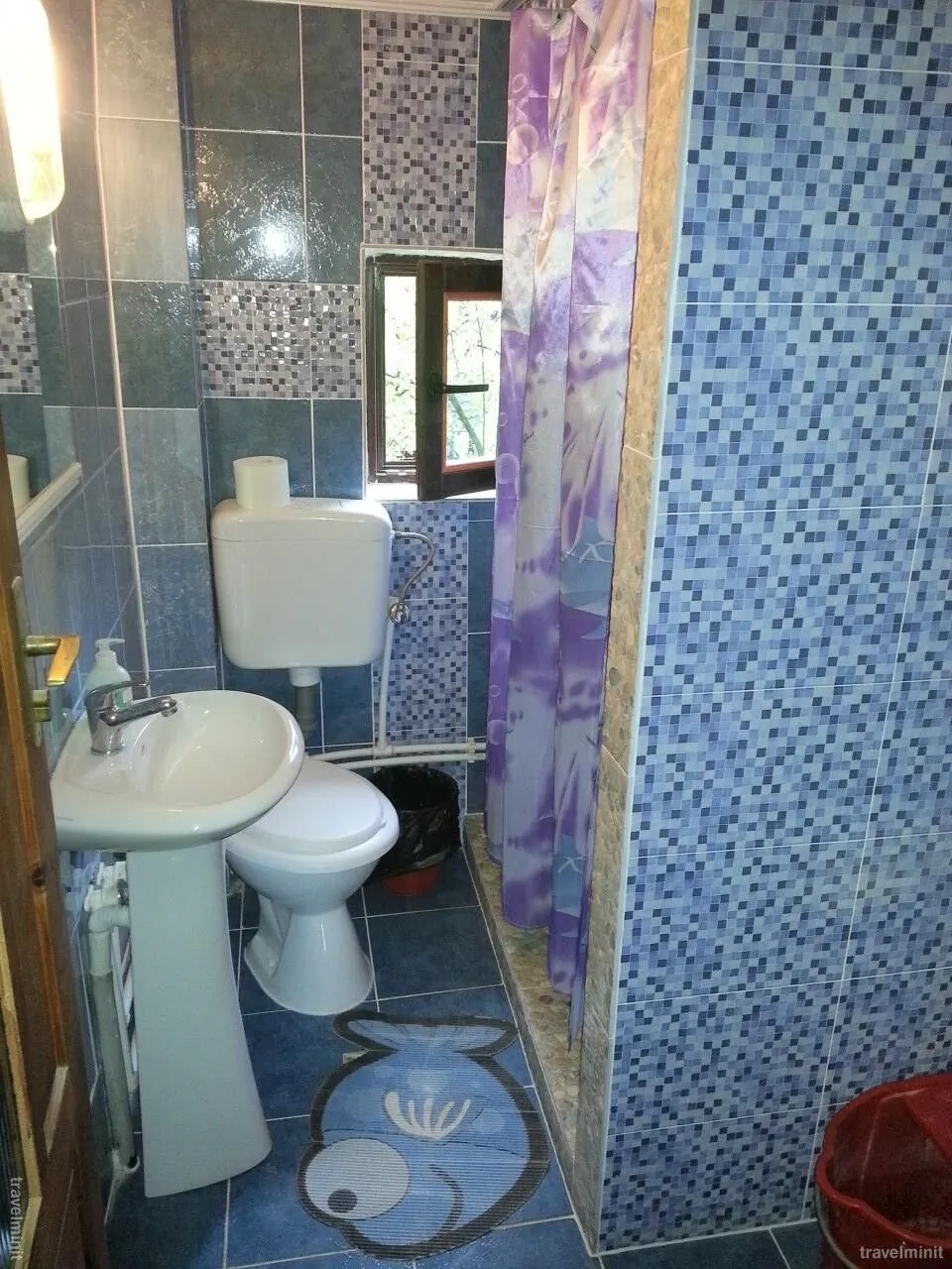Casa de vacanță Delia Ocna Șugatag – Ocna Şugatag, România