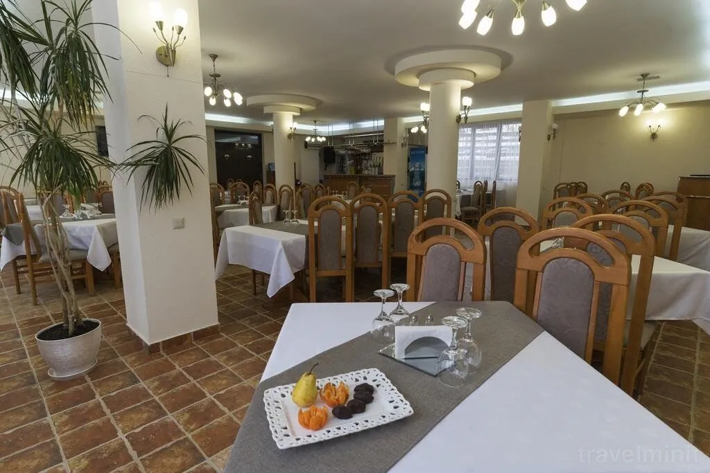 Pensiunea Vânătorul Vatra Dornei – Vatra Dornei, Rumunia