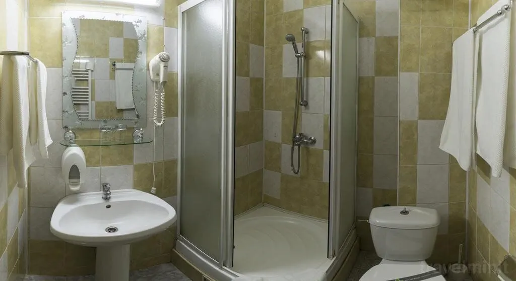 Pensiunea Vânătorul Vatra Dornei – Vatra Dornei, Rumunia