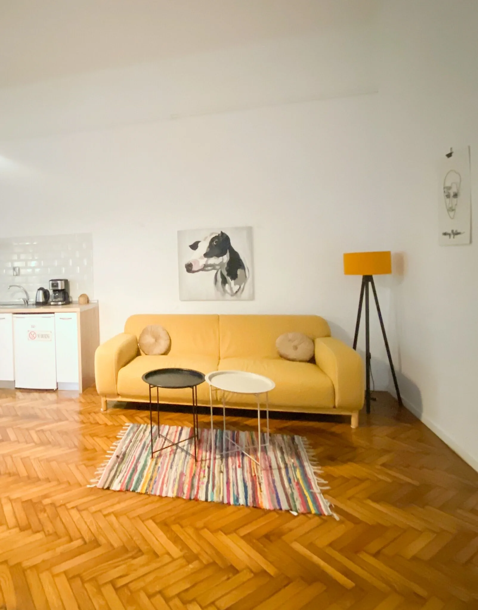 The Vintage Apartment Cluj-Napoca – Kluž, Rumunsko