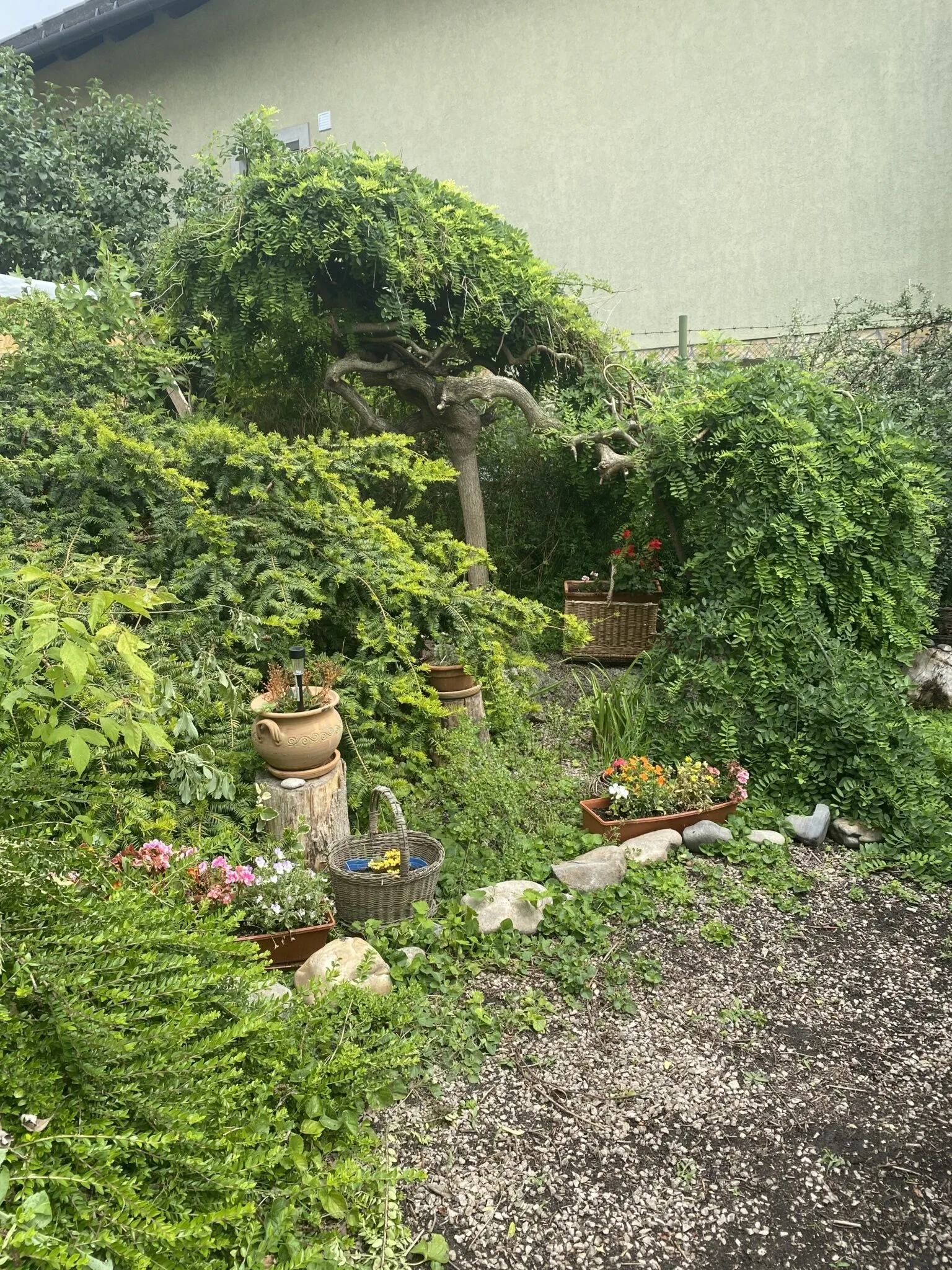 Napraforgó Apartmanok Balatonfűzfő – Balatonfűzfő, Węgry