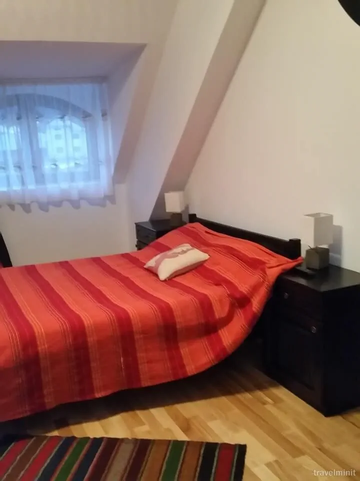 Pensiunea Mușata Bucovinei Vama - foto 9