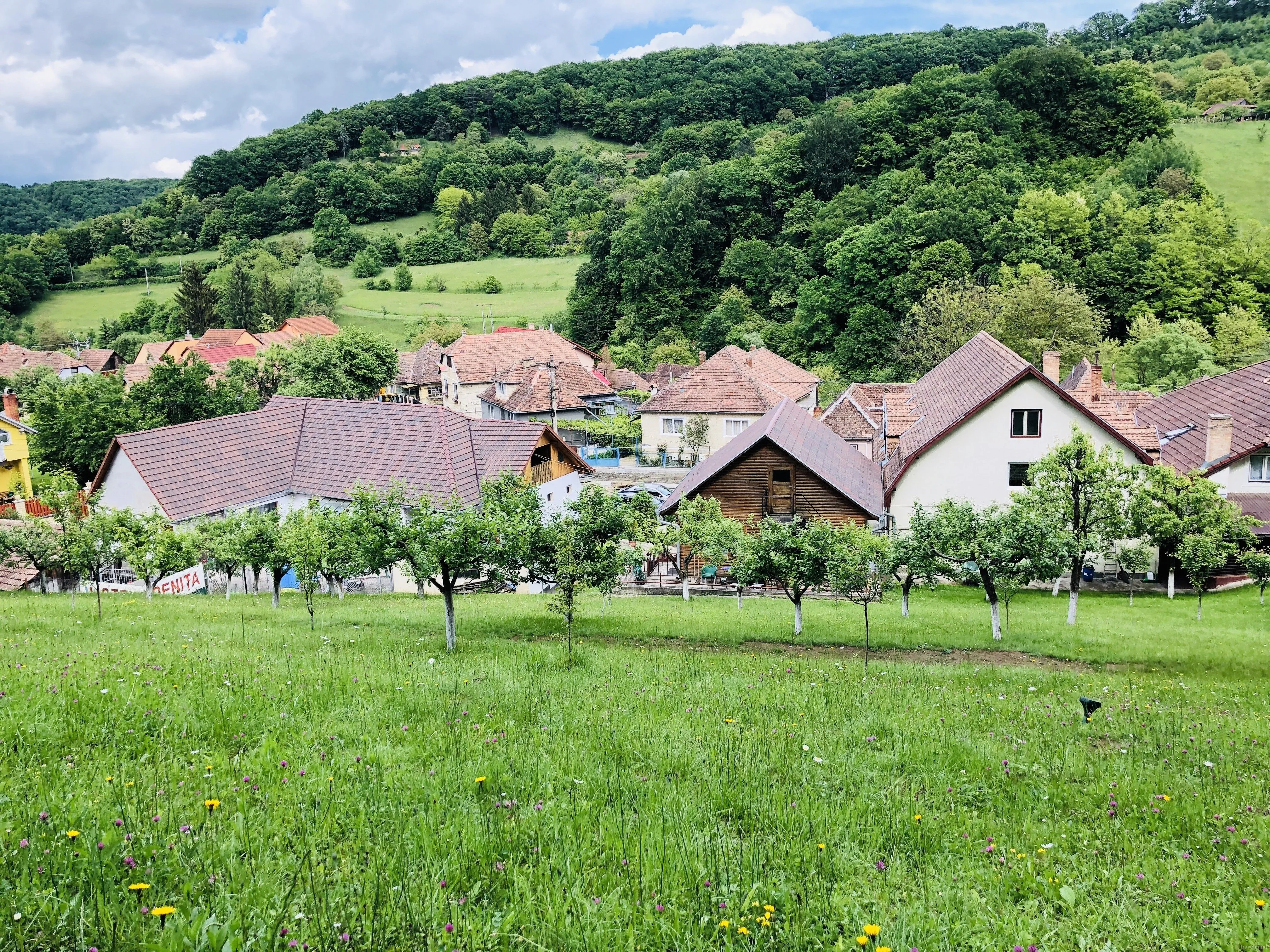 Hotel Poenita Sighișoara – Sighișoara, România
