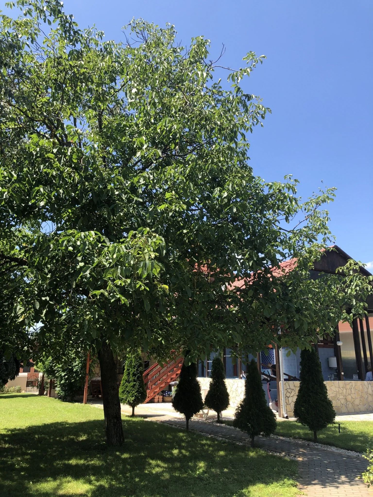 Relax Apartman Nyíregyháza – Nyíregyháza, Ungaria