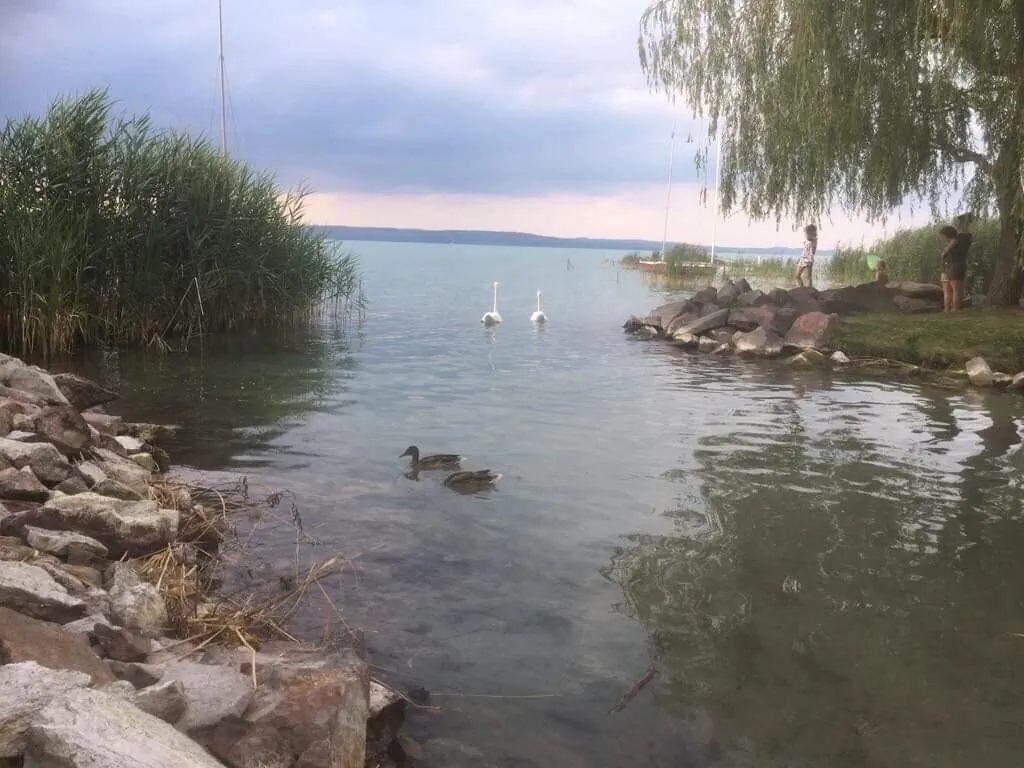 Hársfa Apartman Balatonlelle – Balatonlelle, Ungaria