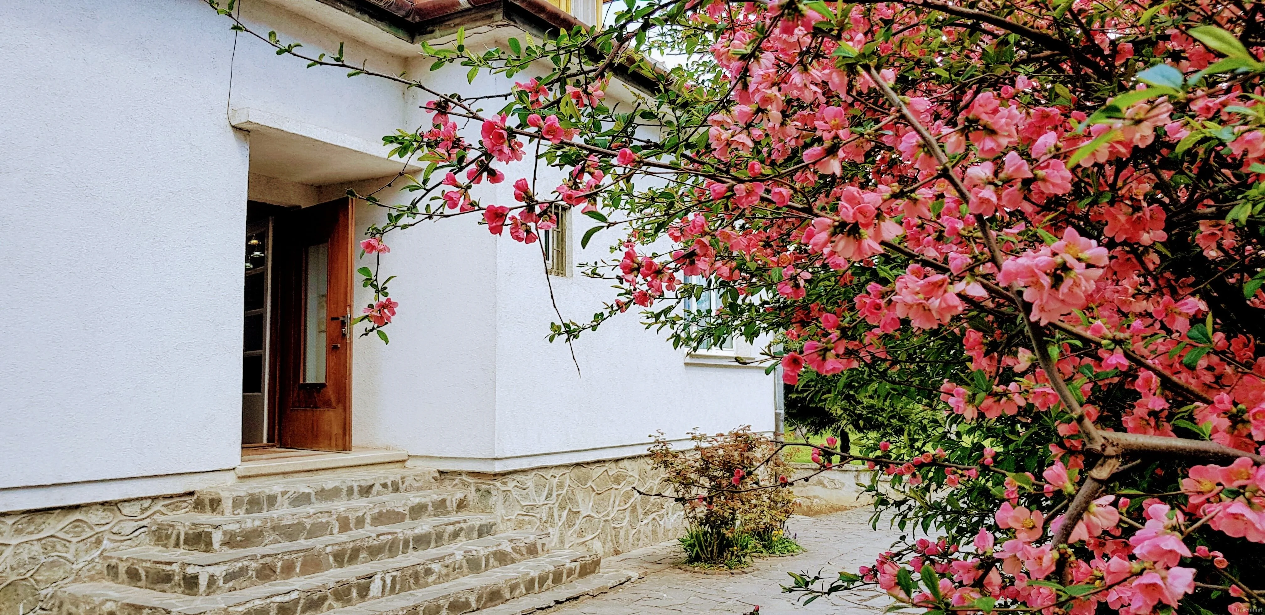 Vila Martha Residence Sibiu – Sibiu, România