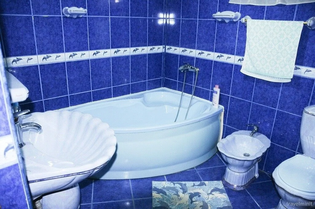 Casa de oaspeți Eliza Maria Rotunda - foto 4