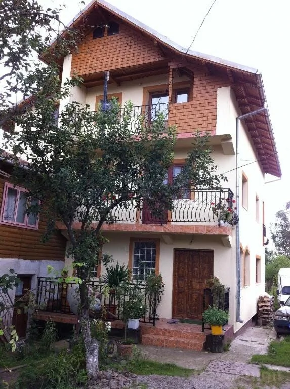 Casa de oaspeți Eliza Maria Rotunda - foto 10