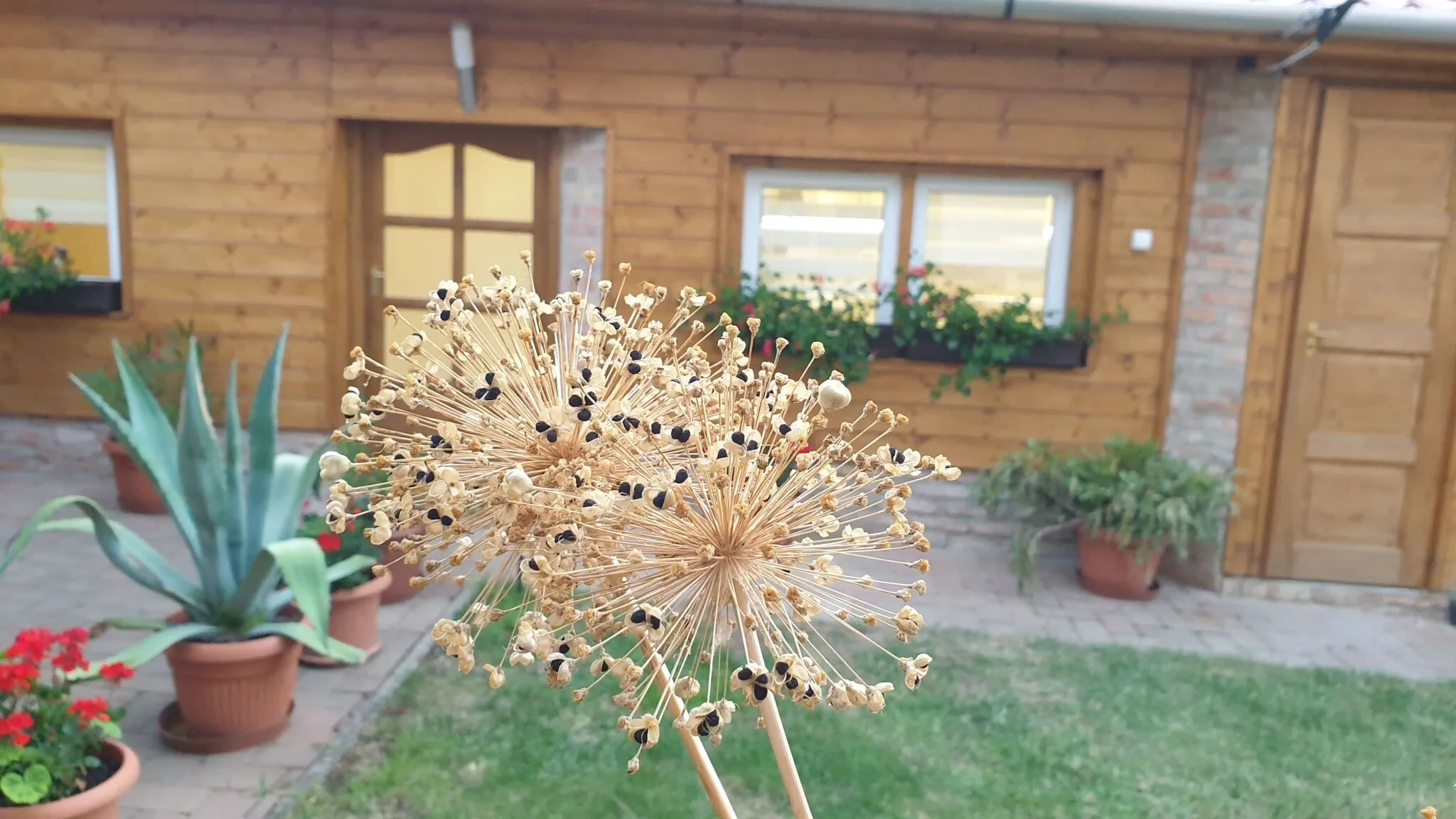 MohApartman Gyöngyössolymos - foto 4