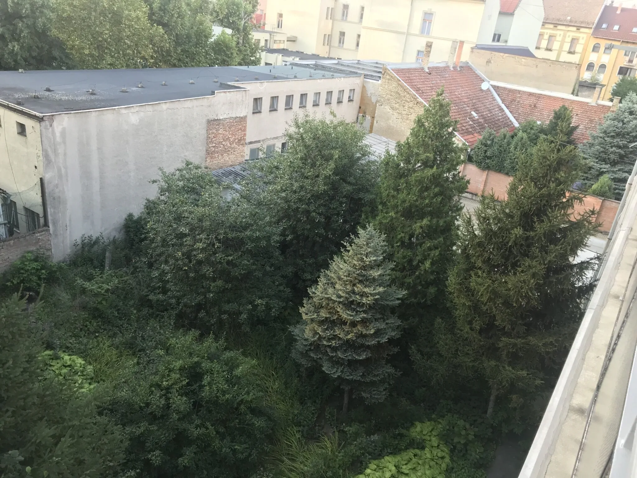 Classic City Apartman Szeged - foto 5