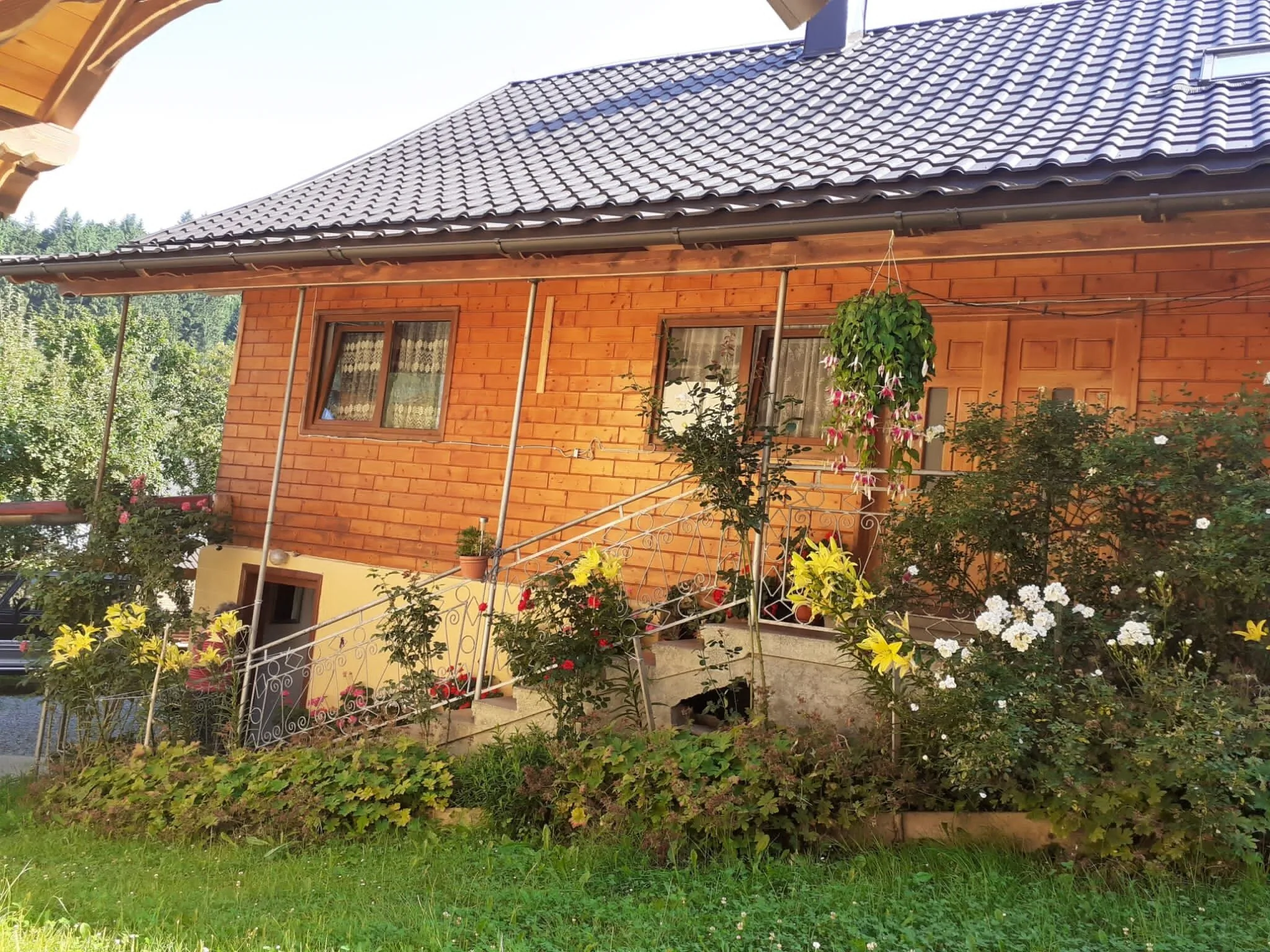 Pensiunea Mery Albac – Albac, Rumunsko