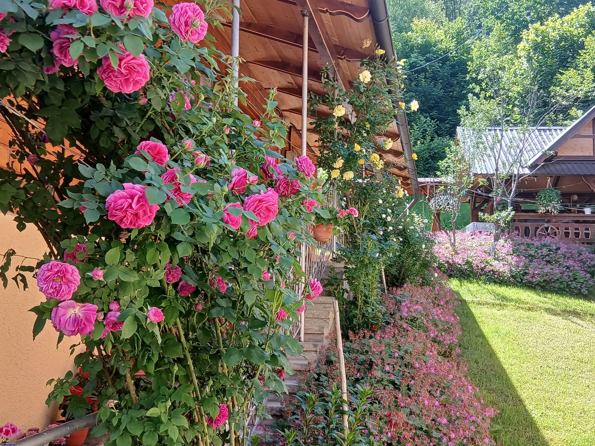 Pensiunea Mery Albac – Albac, Rumunsko