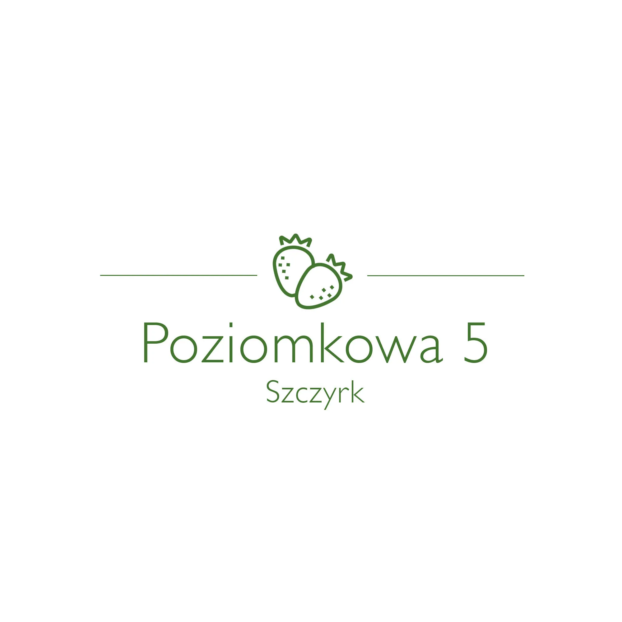 Dom Gościnny Poziomkowa 5 Szczyrk - foto 2