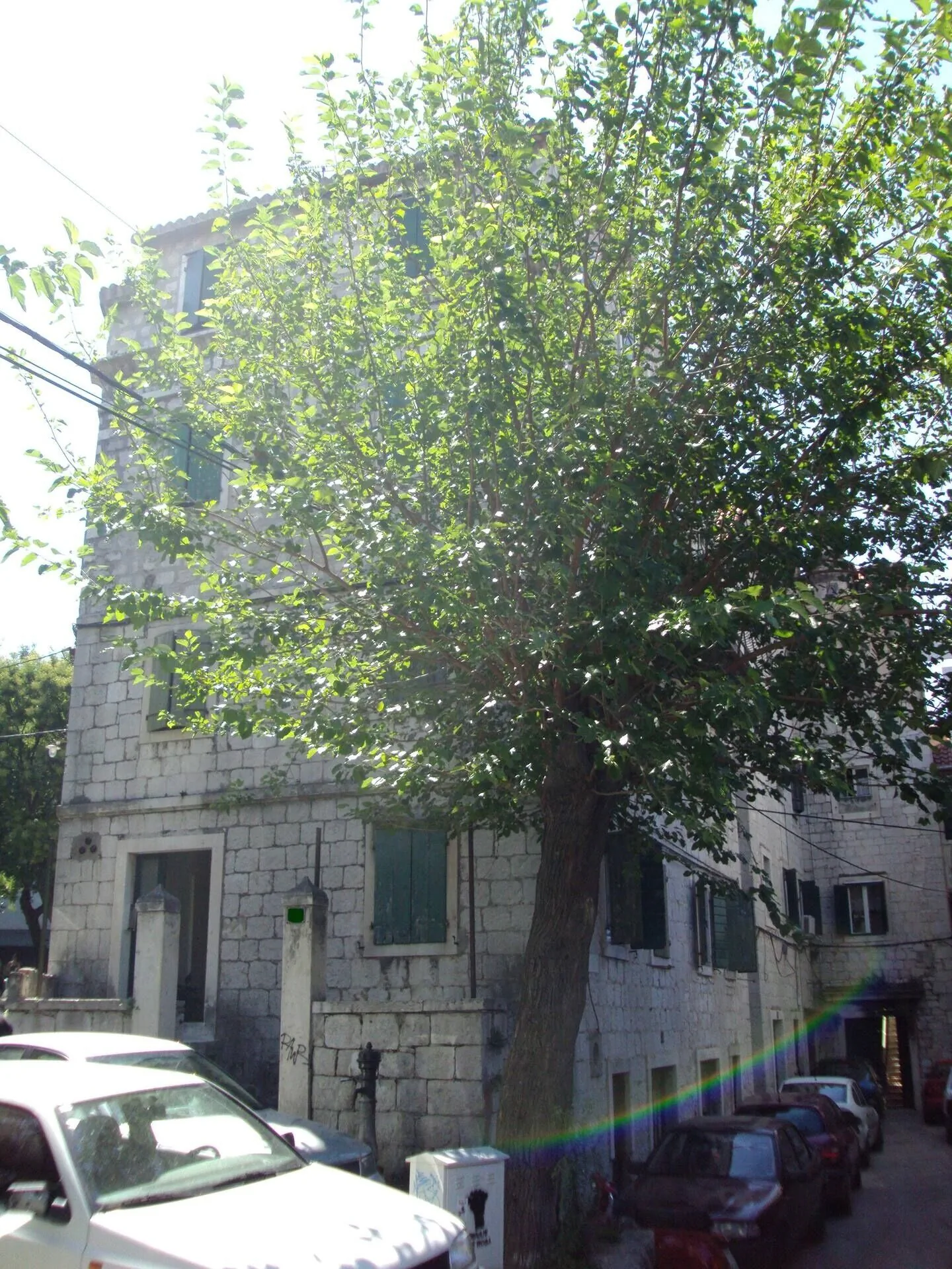 Apartman Happy Jackdaw Split – Split, Croația