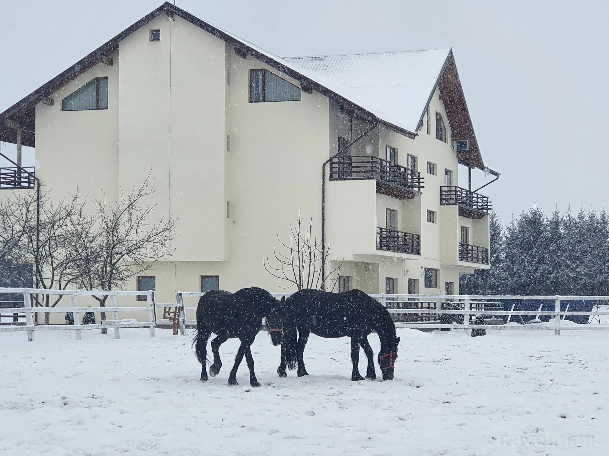 Pensiunea Pănicel Râșnov – Râșnov, România
